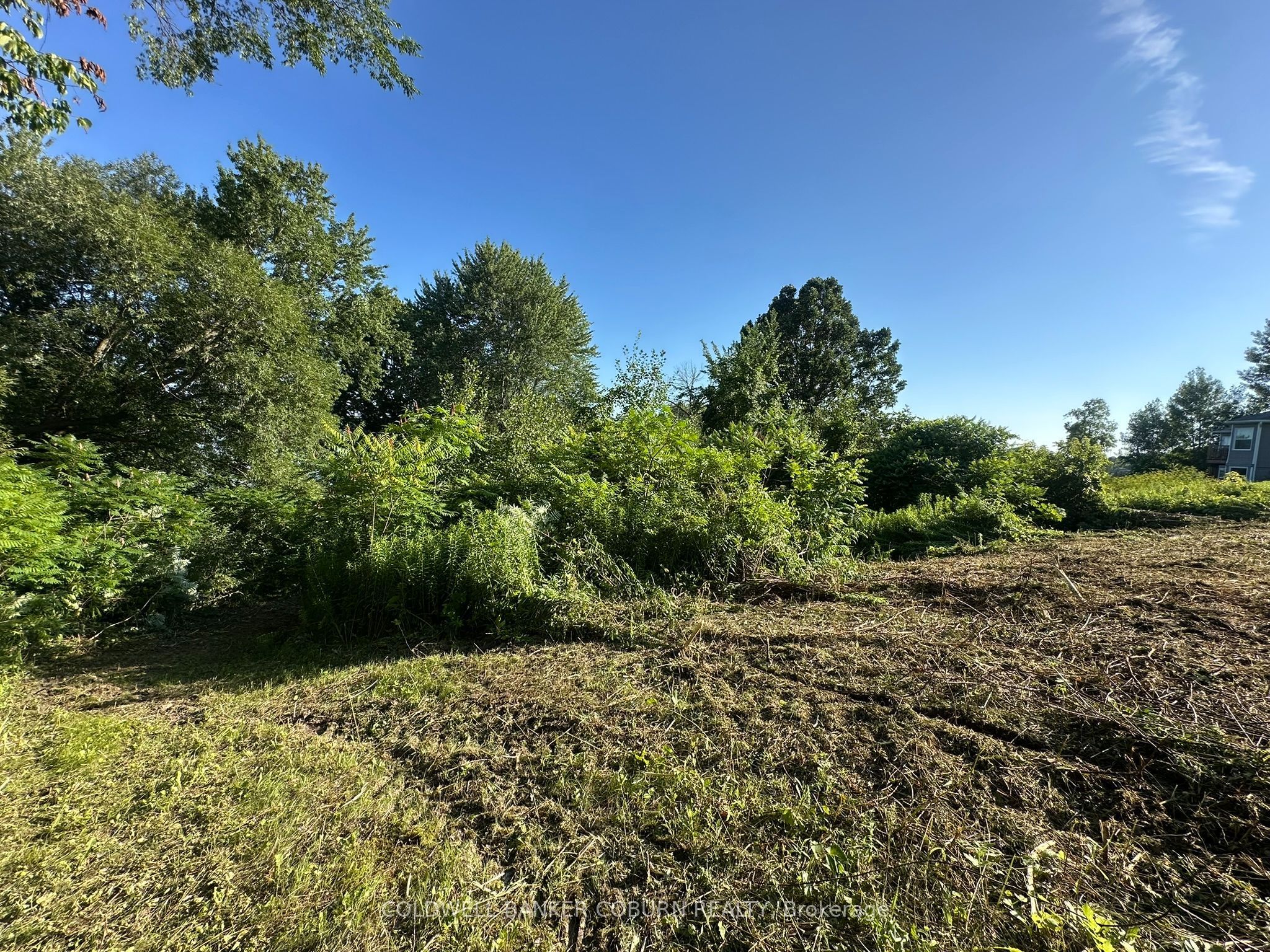 00 County Road 2 Road, Edwardsburgh/Cardinal, ON K0E 1E0 photo 4