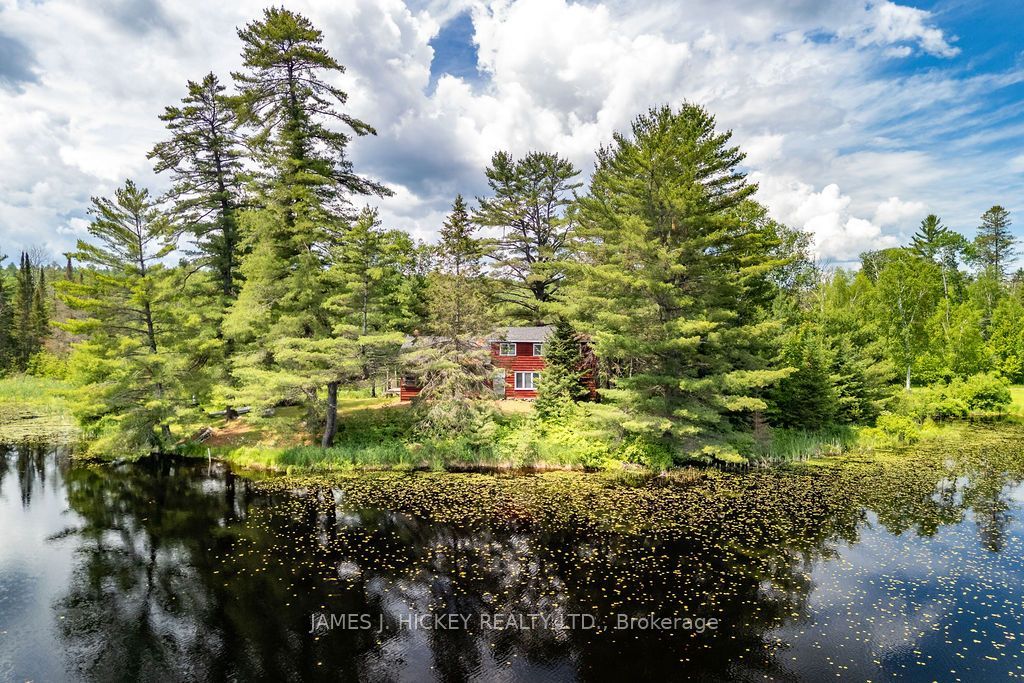 37467 HIGHWAY 17 Highway, Laurentian Hills, ON K0J 1P0 photo 3