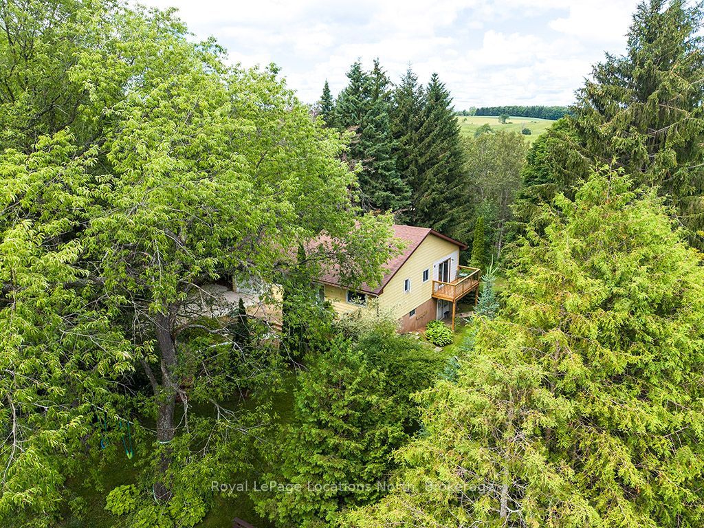 102 Mill Street, Grey Highlands, ON N0C 1E0 photo 3
