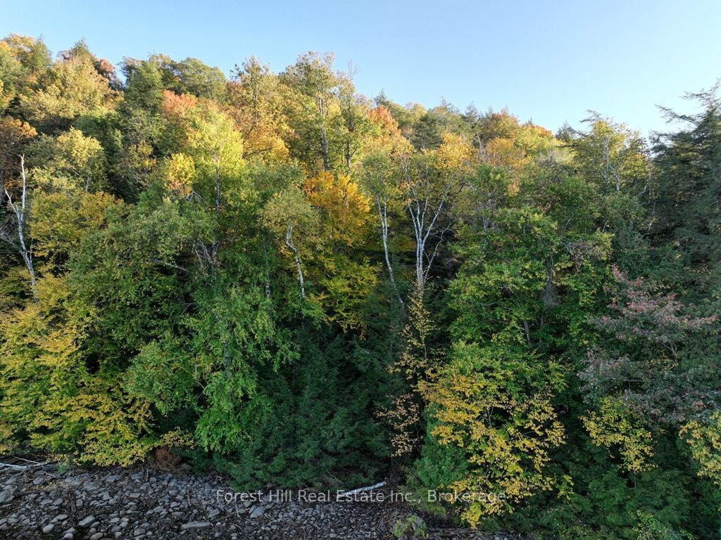 0 Dennison Island, Dysart et al, ON P0A 1E0 photo 5