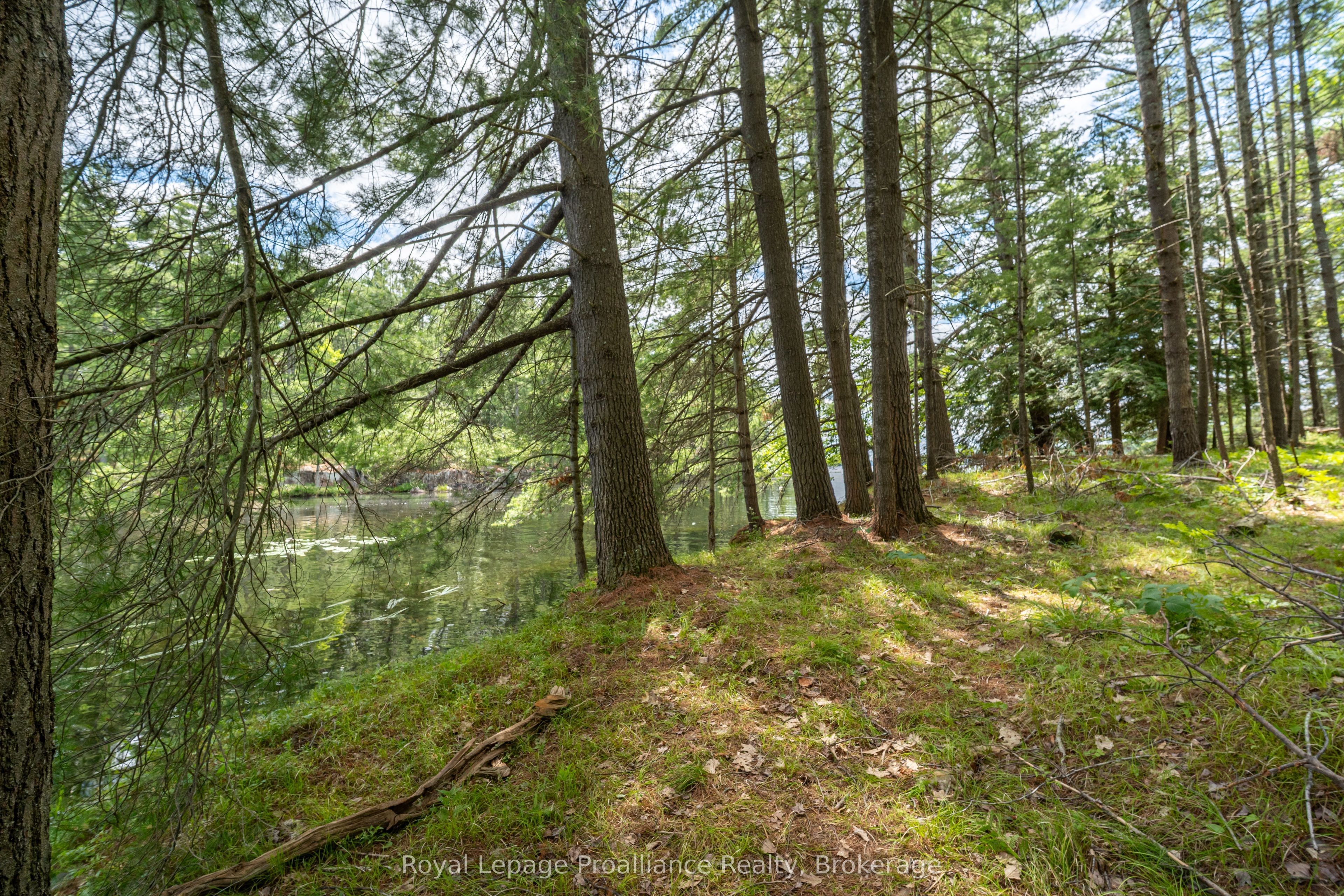 2 WAO Kasshabog Lake N/A, Havelock-Belmont-Methuen, ON K0L 2H0 photo 4