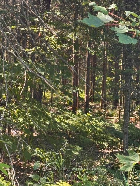 2A  PT LT 12 CON 2 Boundary Road, Parry Sound Remote Area, ON P0A 1X0 photo 2