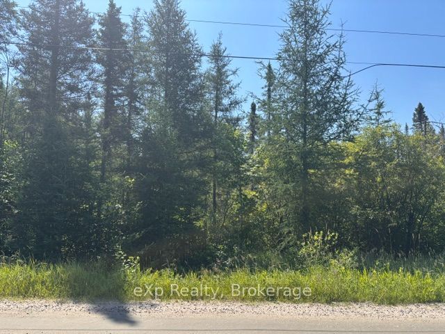 2A  PT LT 12 CON 2 Boundary Road, Parry Sound Remote Area, ON P0A 1X0 photo 3