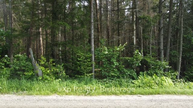 1A   PT LT 12 CON 2 Boundary Road, Parry Sound Remote Area, ON P0A 1X0 photo 4