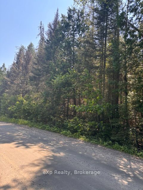 1A   PT LT 12 CON 2 Boundary Road, Parry Sound Remote Area, ON P0A 1X0 photo 5