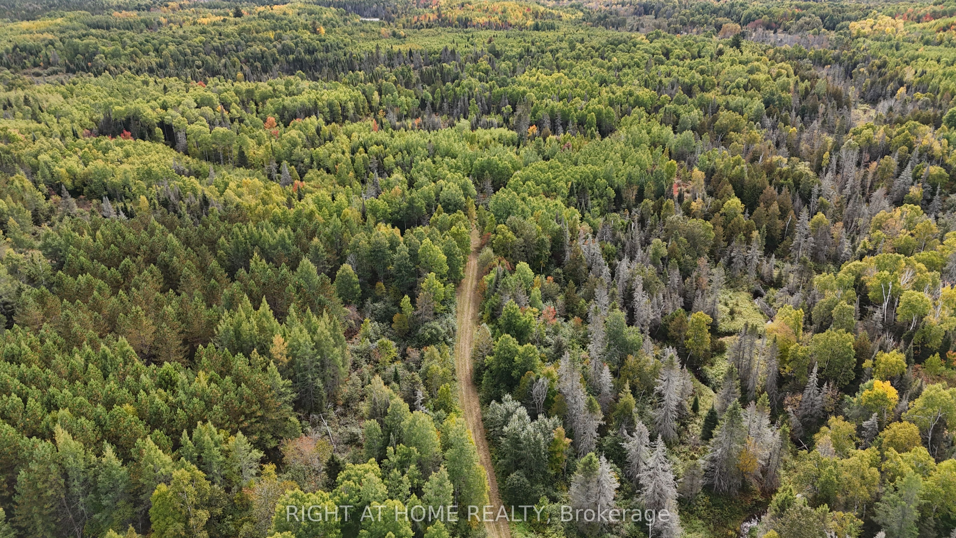 58 Bellefeuille Road, West Nipissing, ON P0H 1M0 photo 3