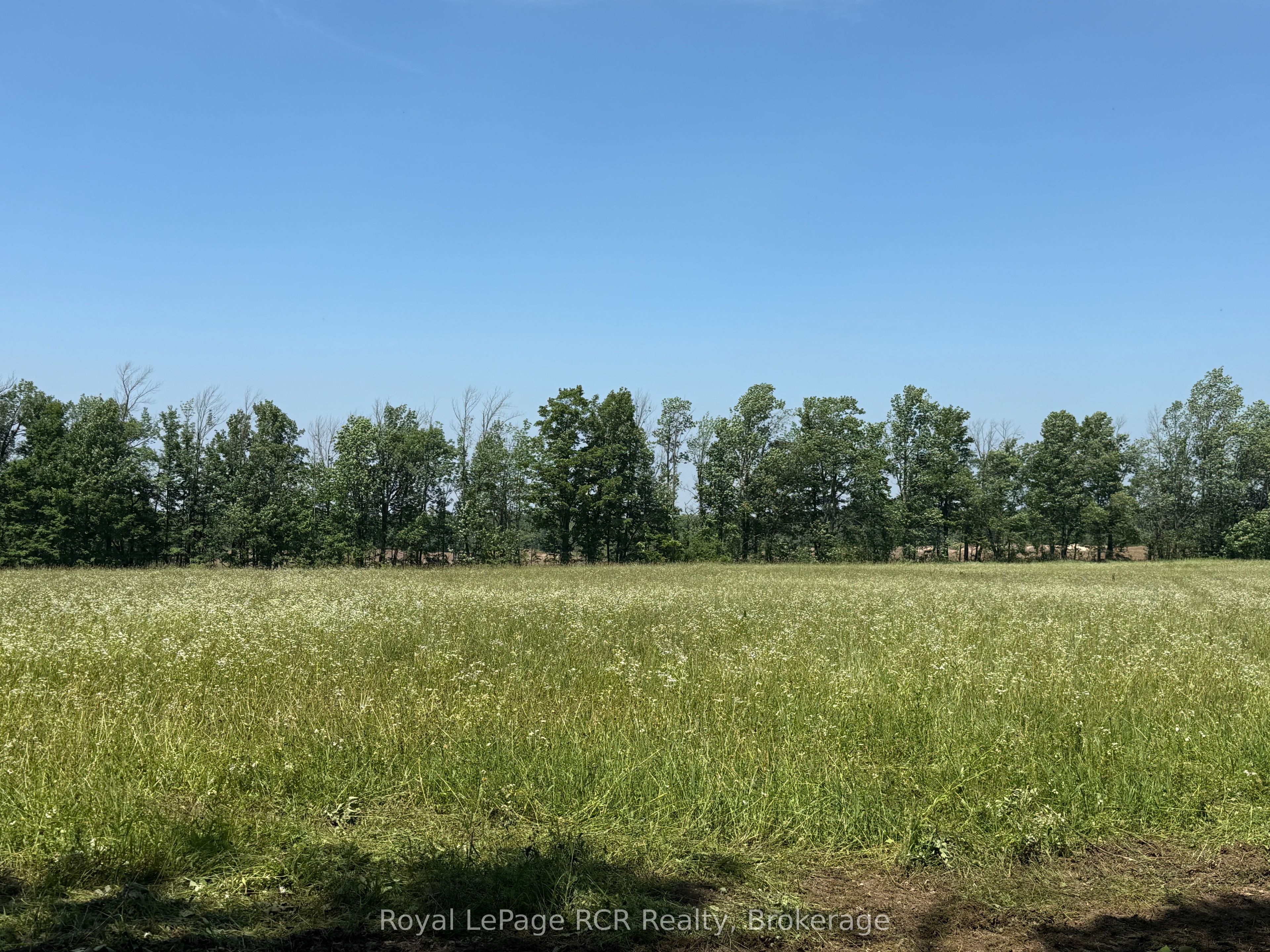 Lot 1 Part Lot 17 Bells Lake Road, West Grey, ON N0C 1H0 photo 3