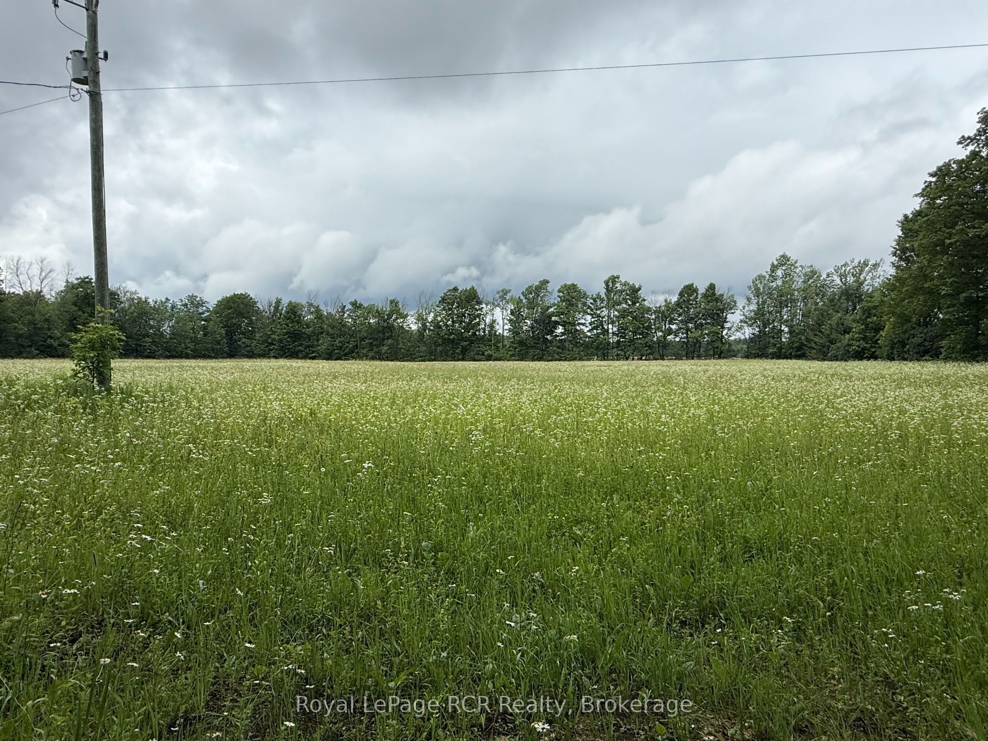 Lot 1 Part Lot 17 Bells Lake Road, West Grey, ON N0C 1H0 photo 4