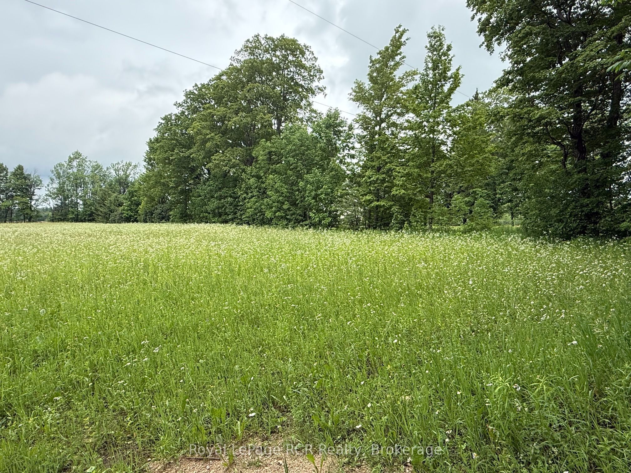 Lot 2 Part Lot 17 Bells Lake Road, West Grey, ON N0C 1H0 photo 5