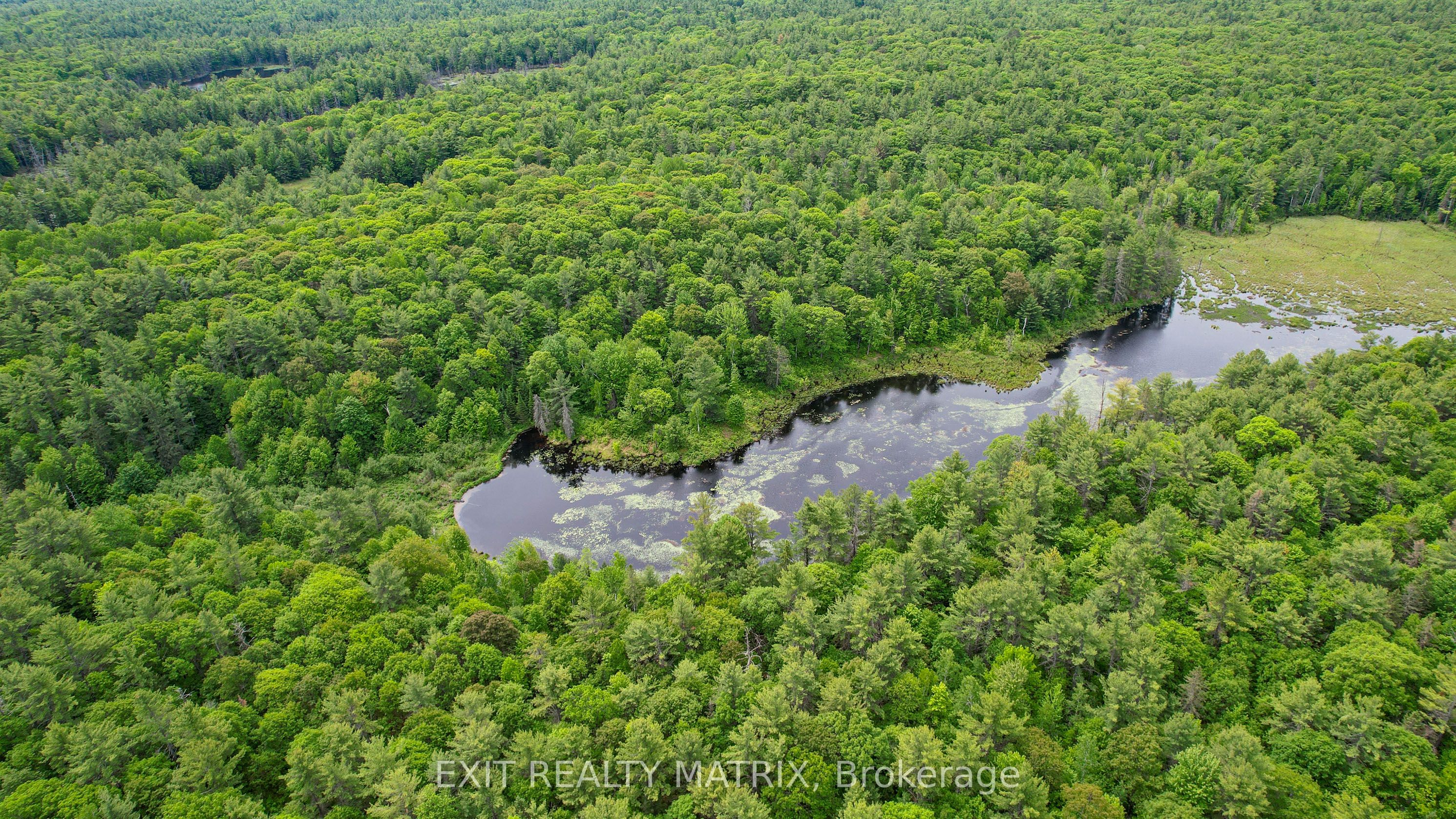 PT LT 9 Concession 1 Concession, McNab/Braeside, ON K0A 3L0 photo 5