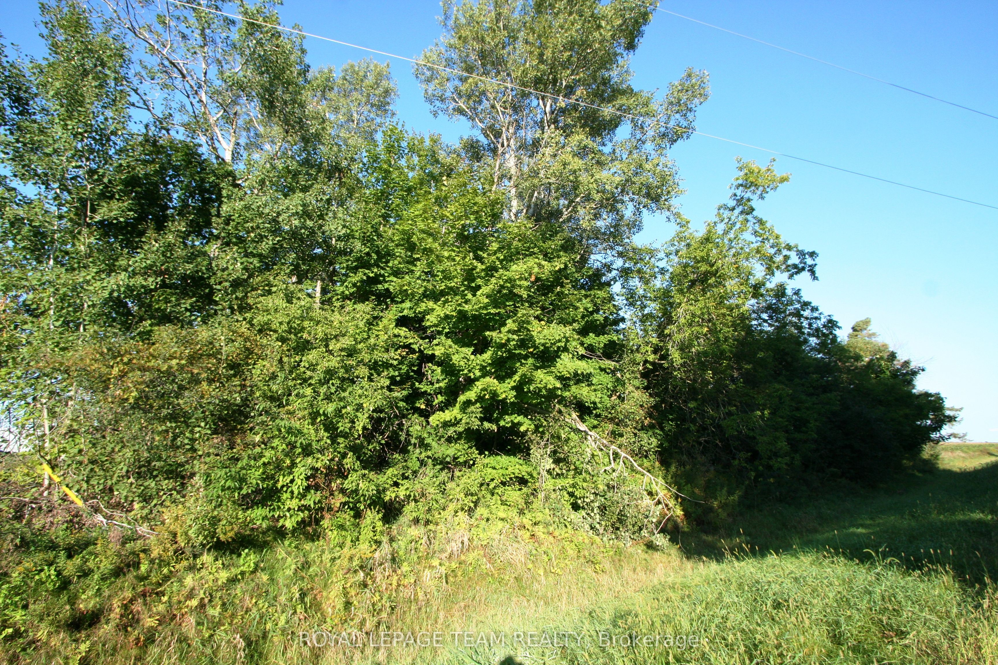 PtLt31 PLEASANT VALLEY Road, South Dundas, ON K0E 1W0 photo 4
