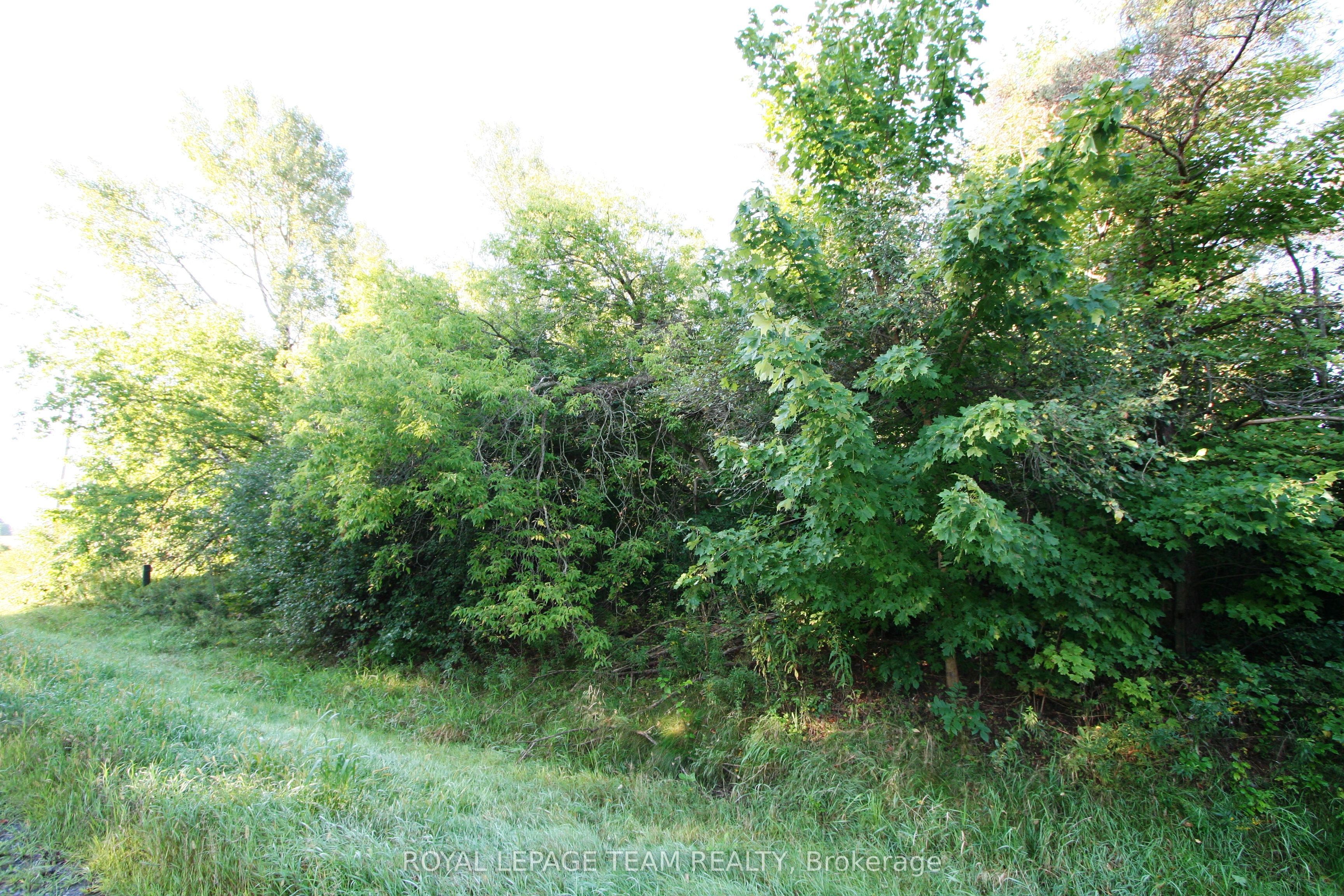 PtLt31 PLEASANT VALLEY Road, South Dundas, ON K0E 1W0 photo 5