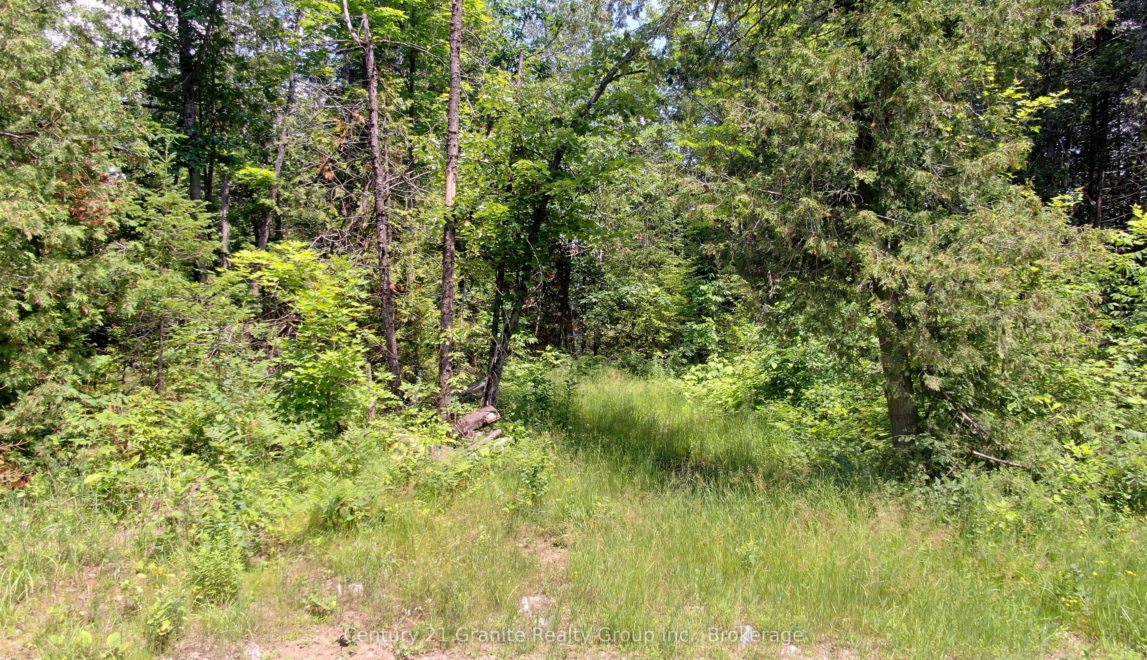 0 Old Hastings Road, Wollaston, ON K0L 1C0 photo 2