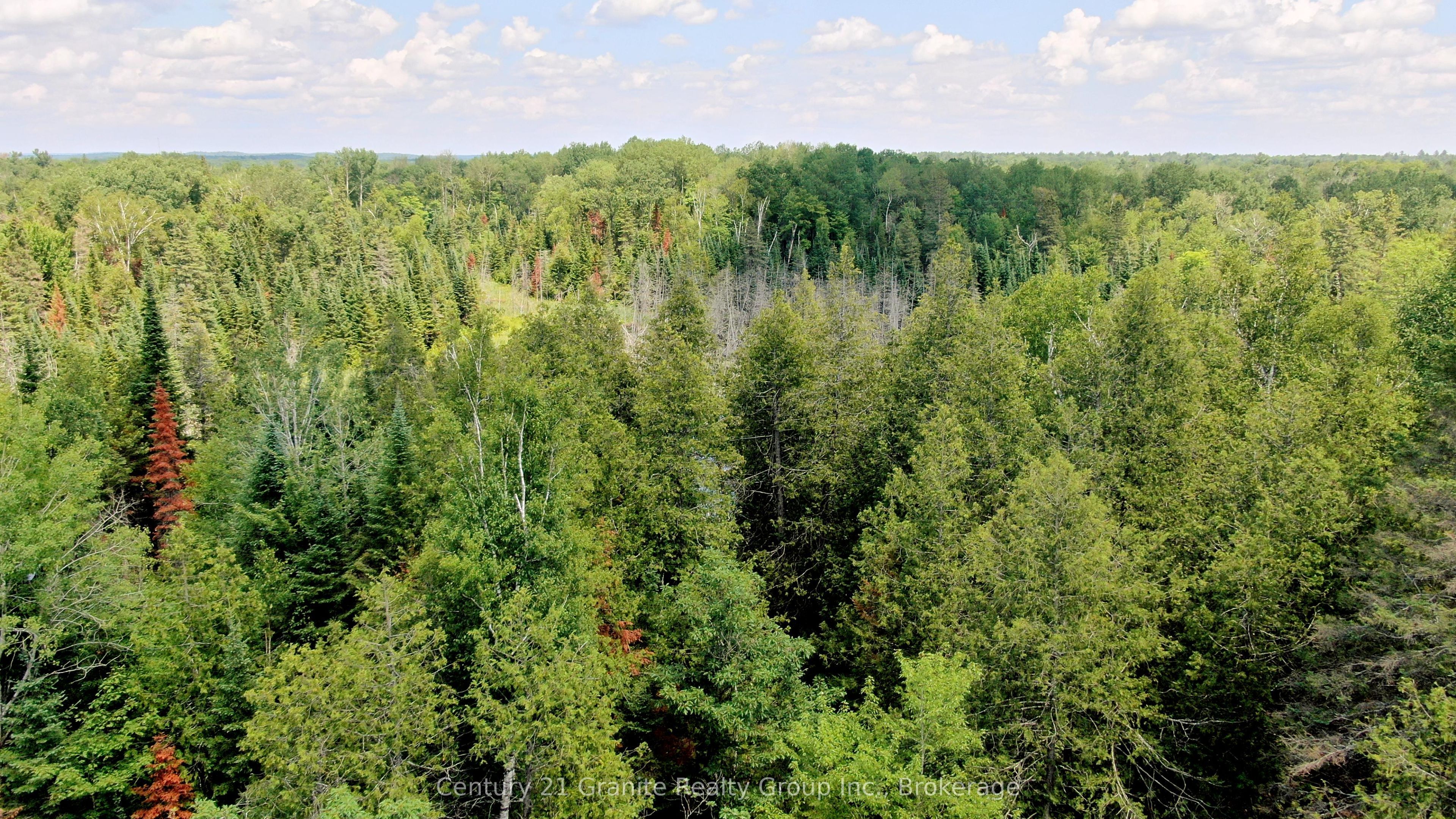 0 Old Hastings Road, Wollaston, ON K0L 1C0 photo 3