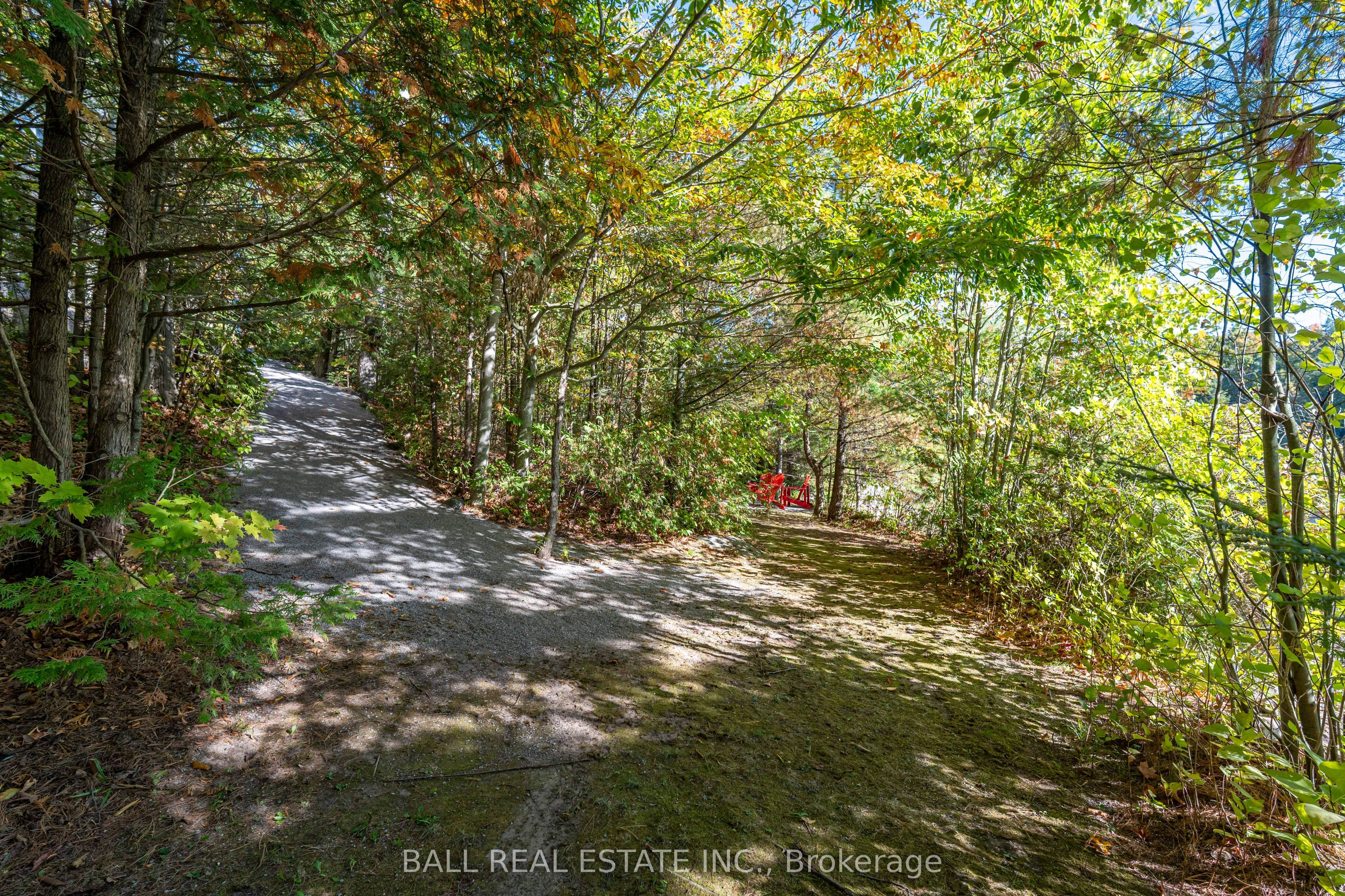 55 Fire Route 209 N/A, Trent Lakes, ON K0L 1J0 photo 5