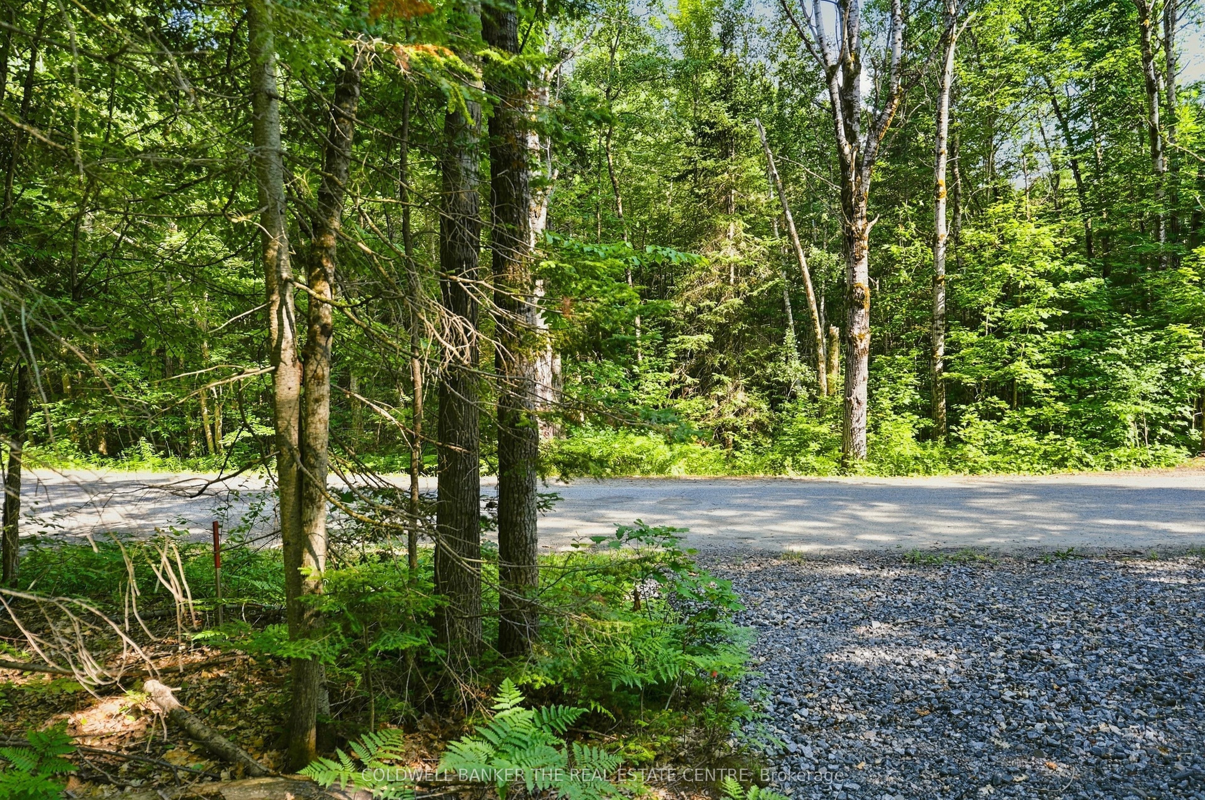 260 Loch Erne Road, McDougall, ON P2A 2W7 photo 2