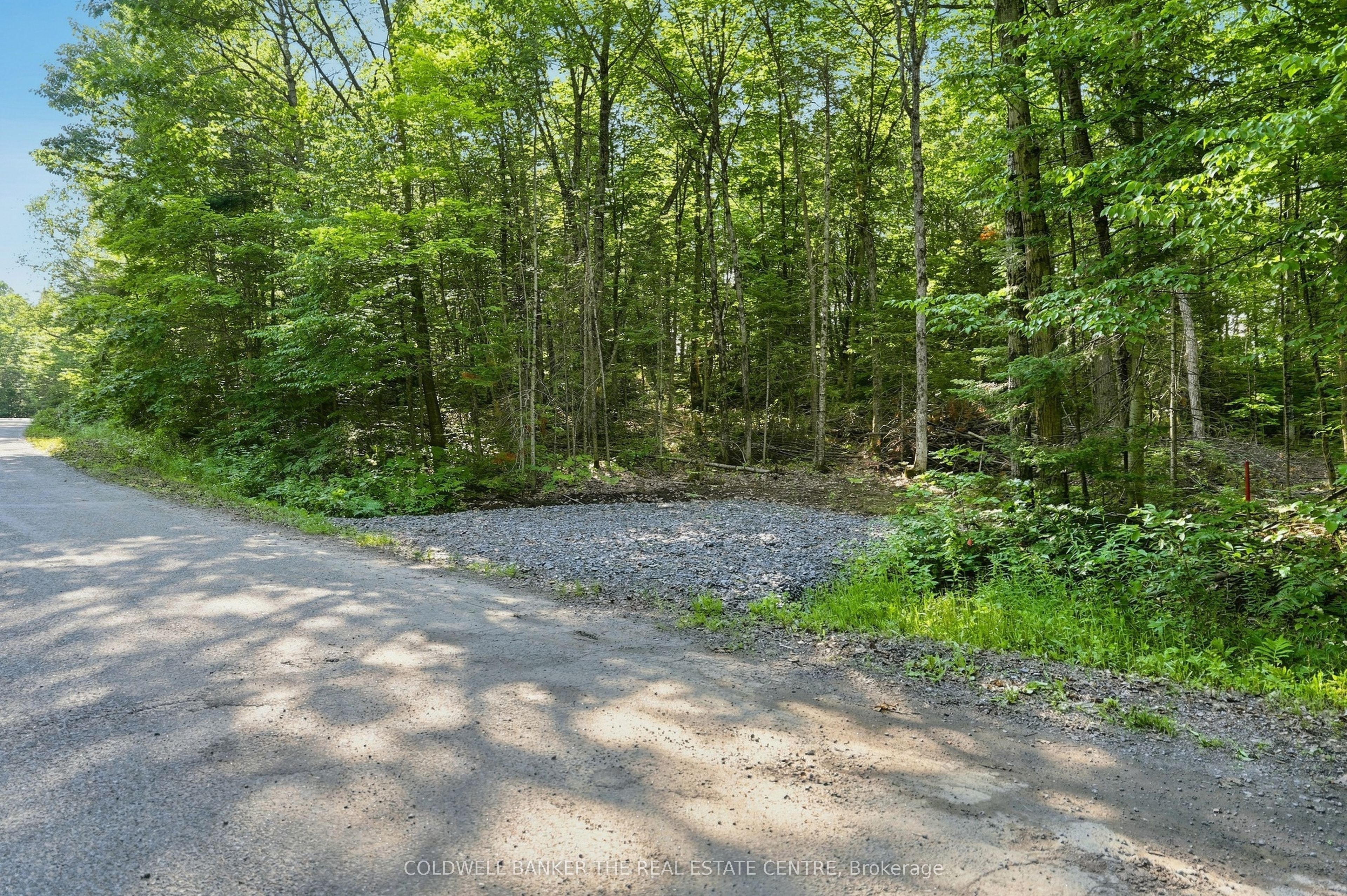 260 Loch Erne Road, McDougall, ON P2A 2W7 photo 4