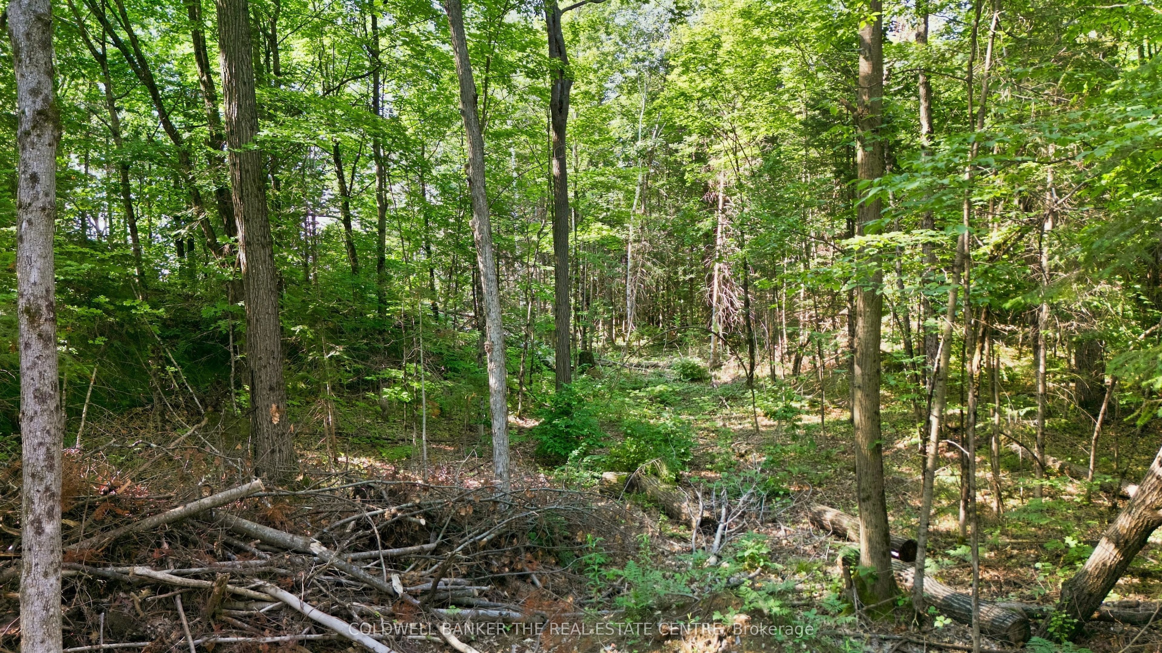 260 Loch Erne Road, McDougall, ON P2A 2W7 photo 5