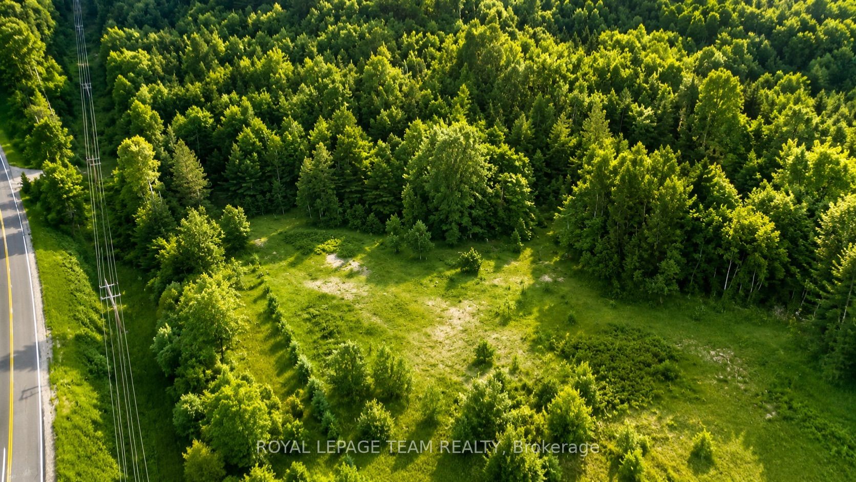 21059 60 Highway, Madawaska Valley, ON K0J 1B0 photo 4