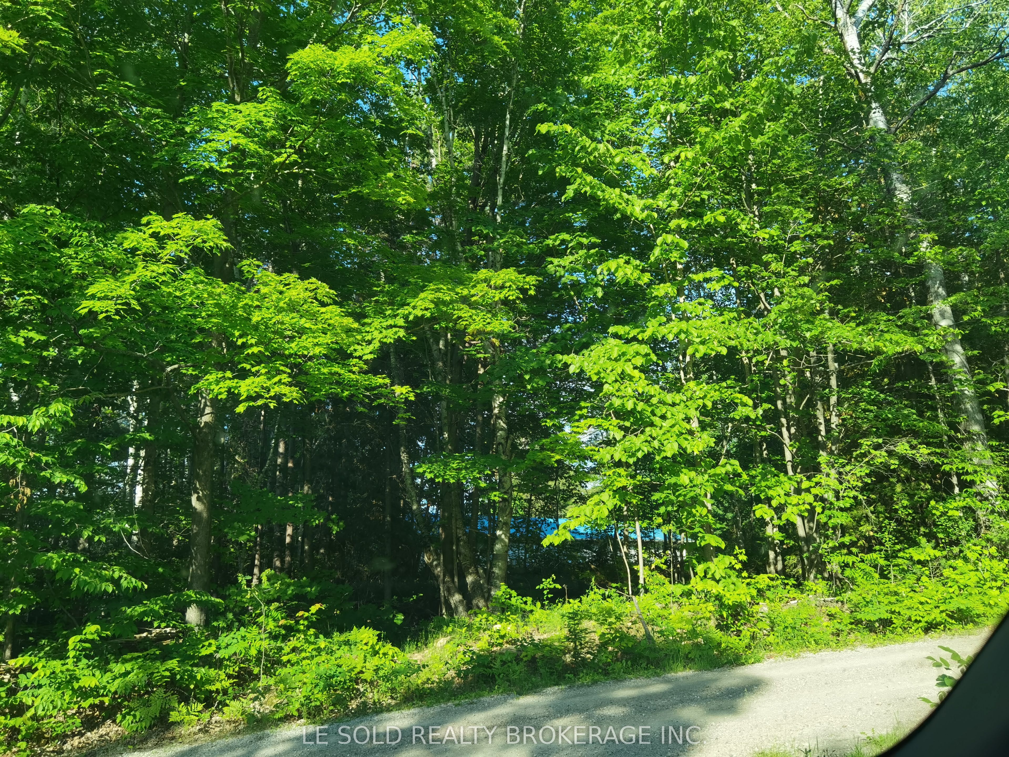 97 Tranquility Bay Drive C, Bonnechere Valley, ON K0J 2A0 photo 4