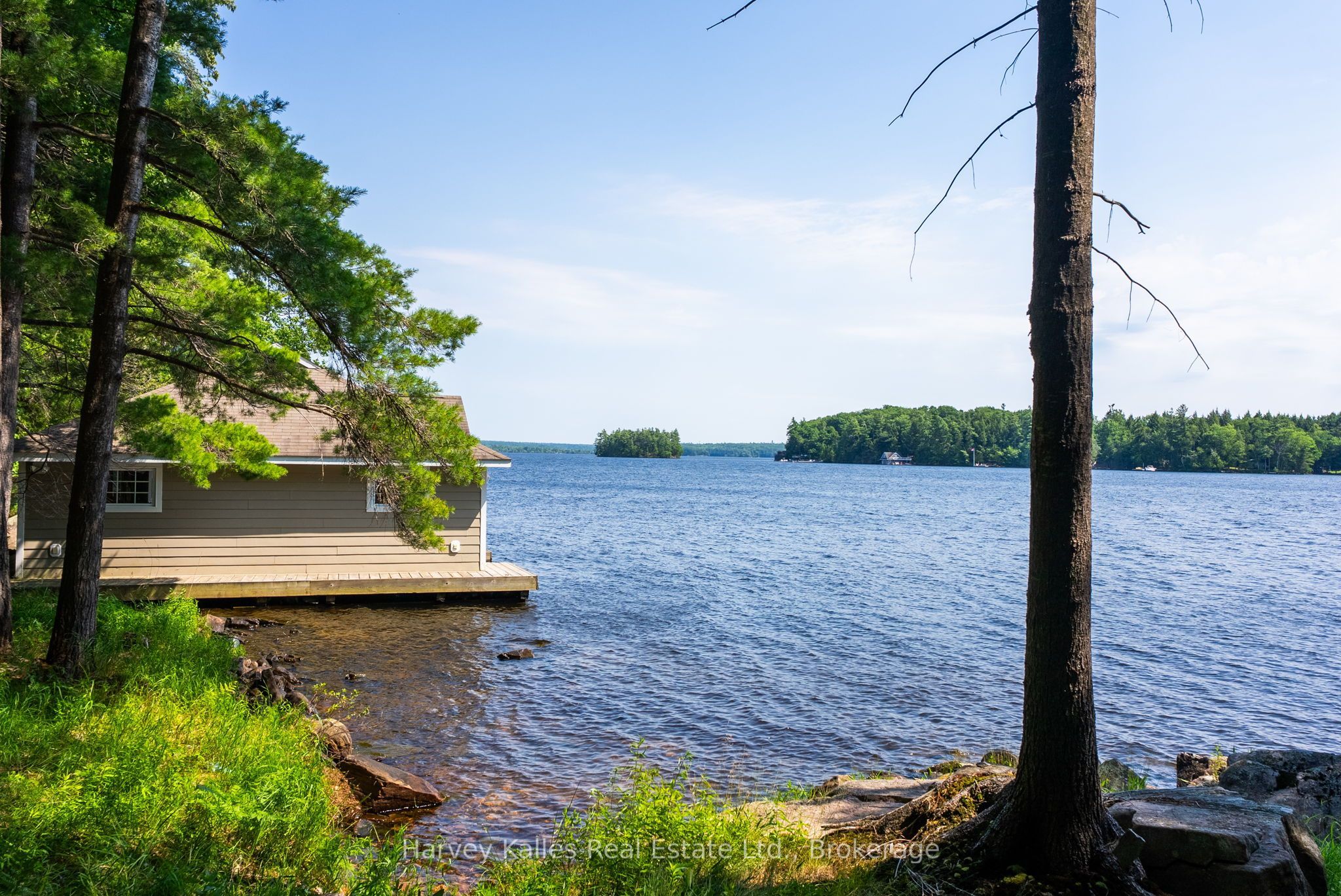 37-M81 Pine Island, Muskoka Lakes, ON P0B 1E0 photo 3