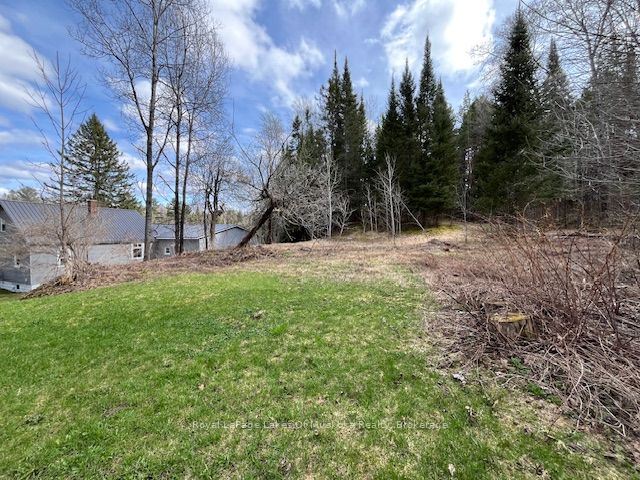 319 Ontario Street, Burk's Falls, ON P0A 1C0 photo 5