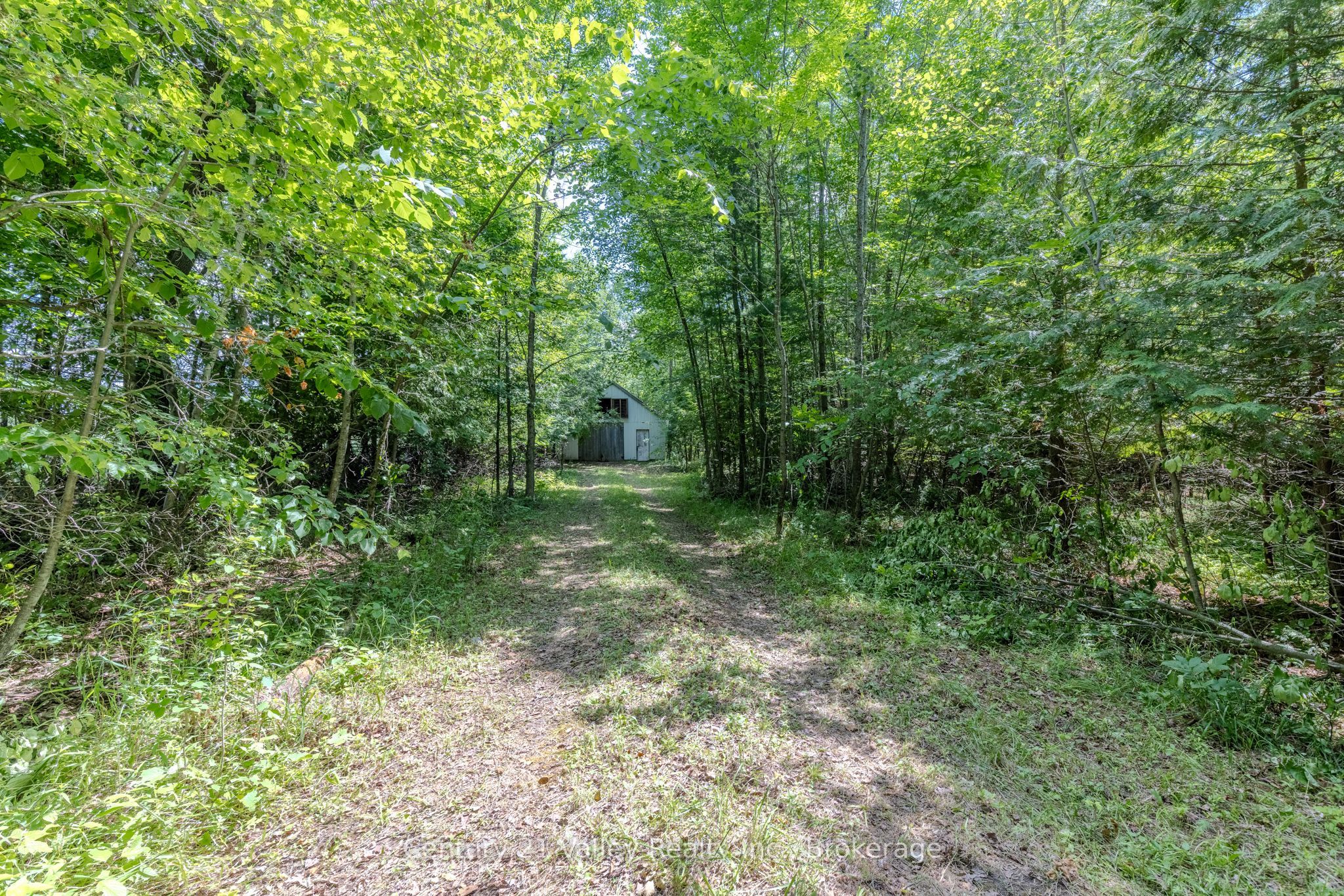 0 Stone Hedges Road, North Algona Wilberforce, ON K0J 1T0 photo 2