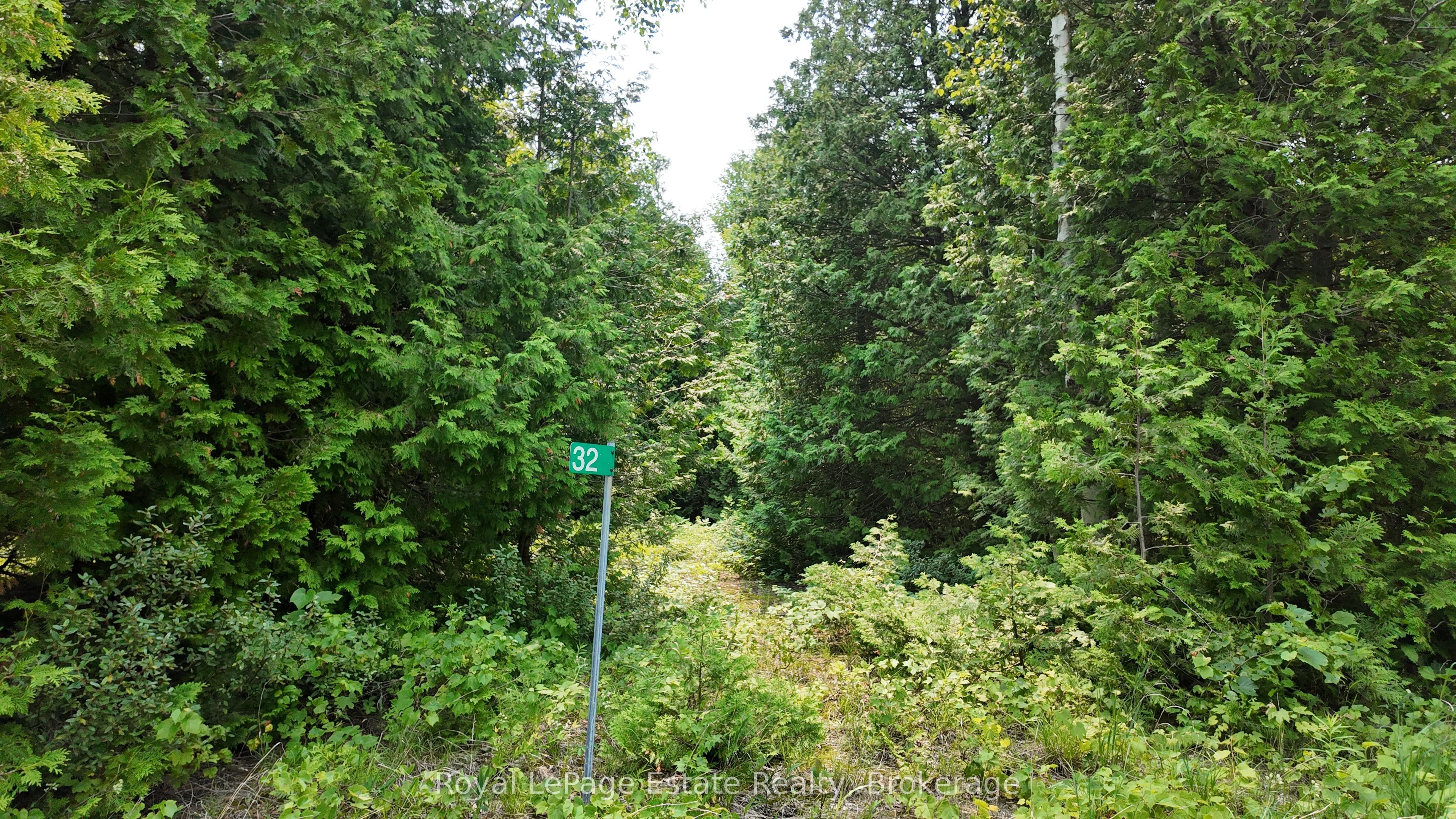 32 Telford Street, South Bruce Peninsula, ON N0H 2T0 photo 2