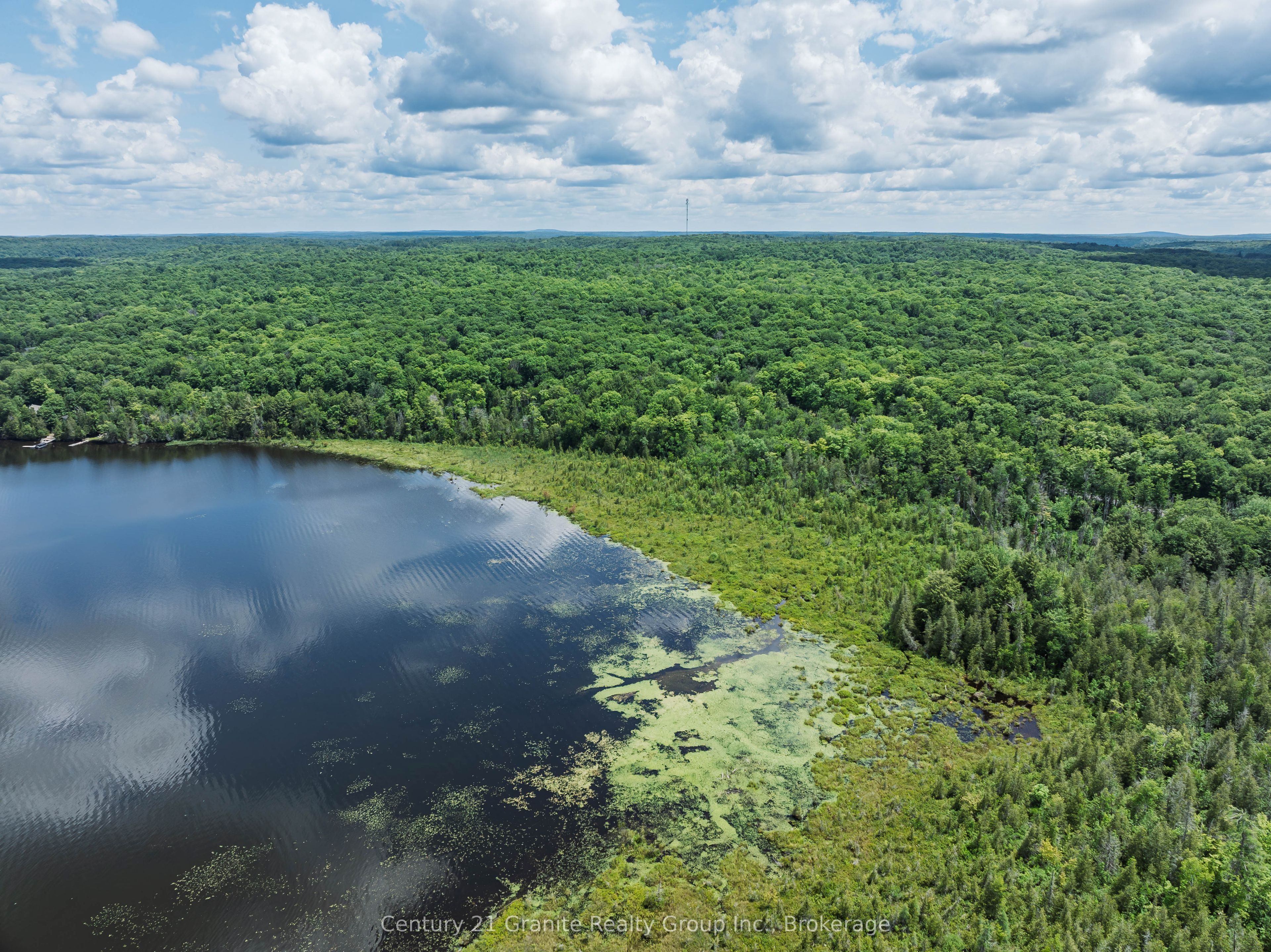 0 Kashagawigamog Lake Road, Minden Hills, ON K0M 2K0 photo 4