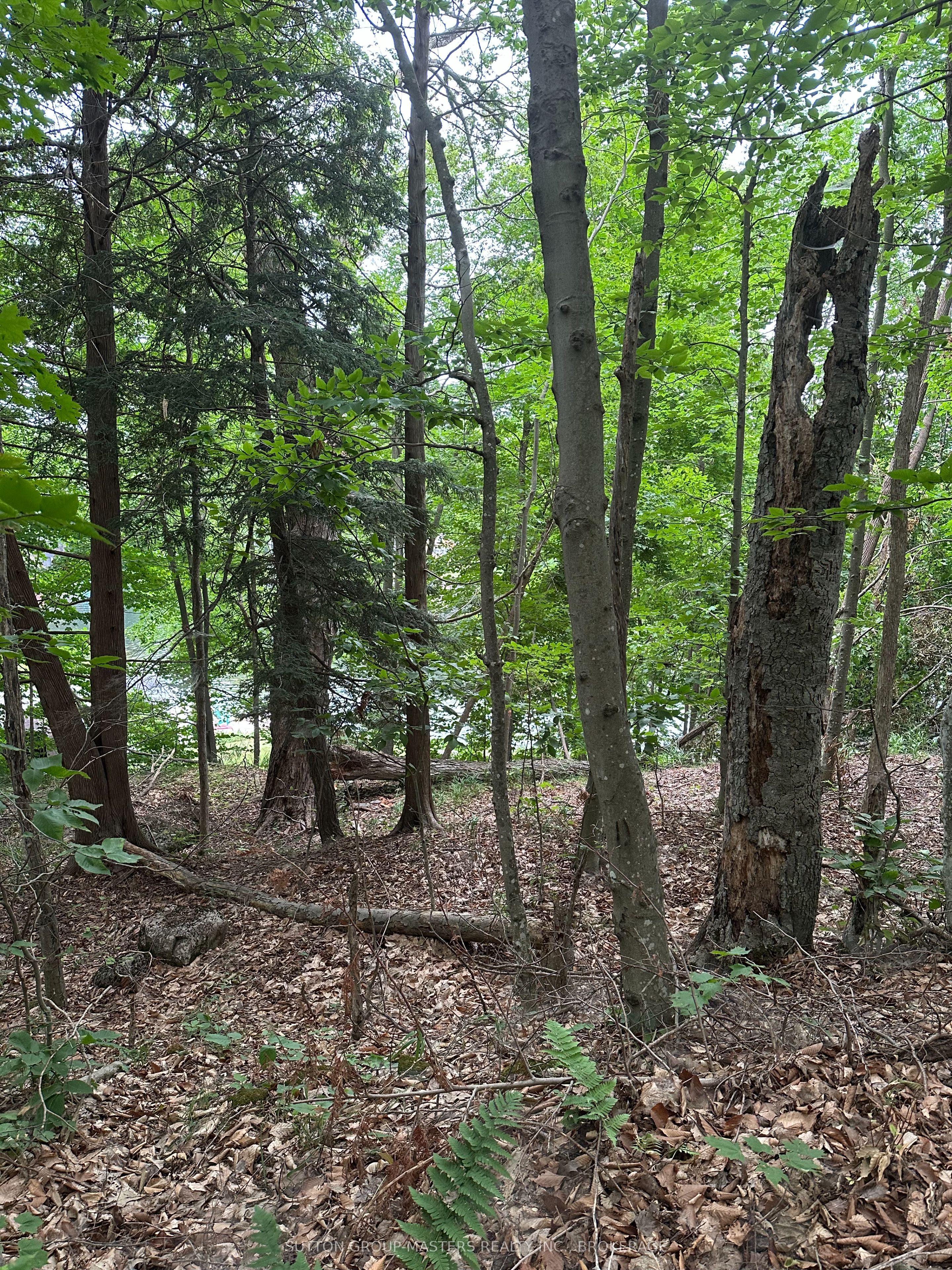 0 SILVER ROCK Lane, Frontenac, ON K0H 2W0 photo 2