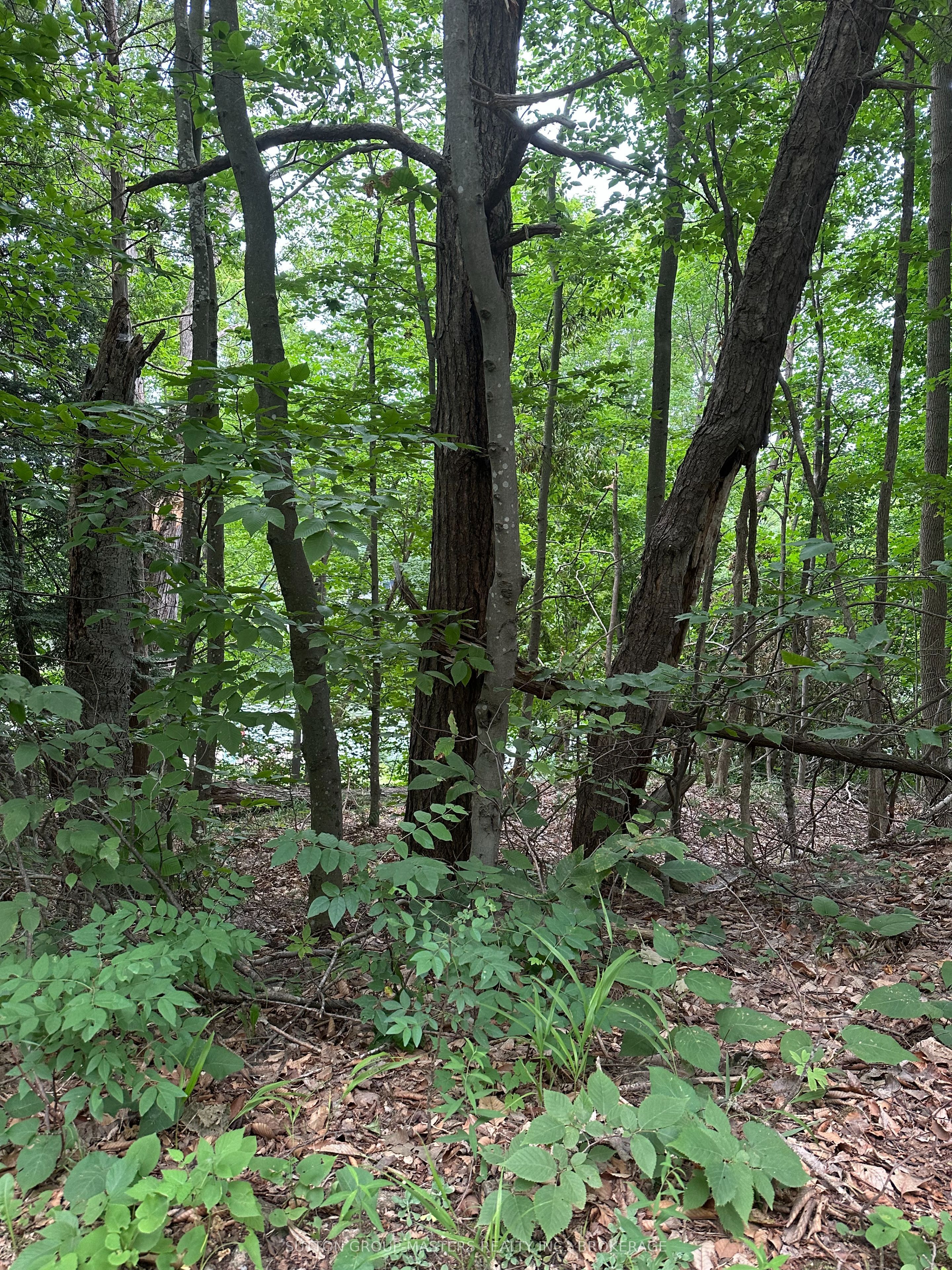 0 SILVER ROCK Lane, Frontenac, ON K0H 2W0 photo 4