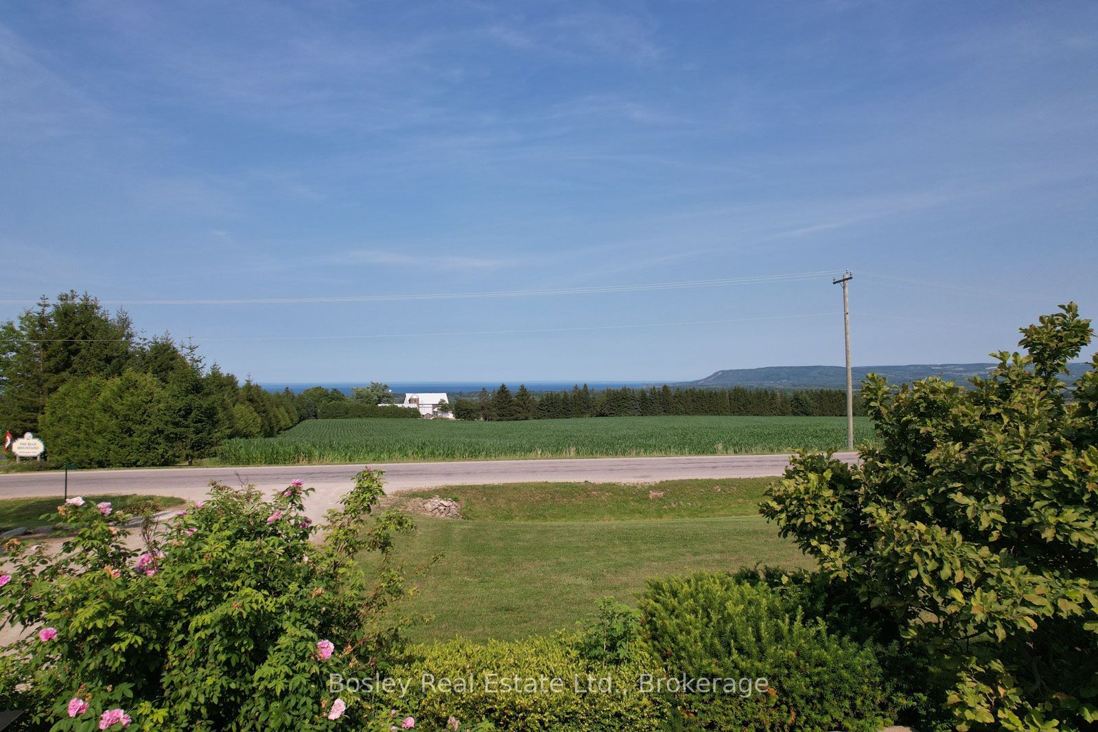 357190 The Blue Mountain Meaford Townline, Meaford, ON N0H 2P0 photo 4