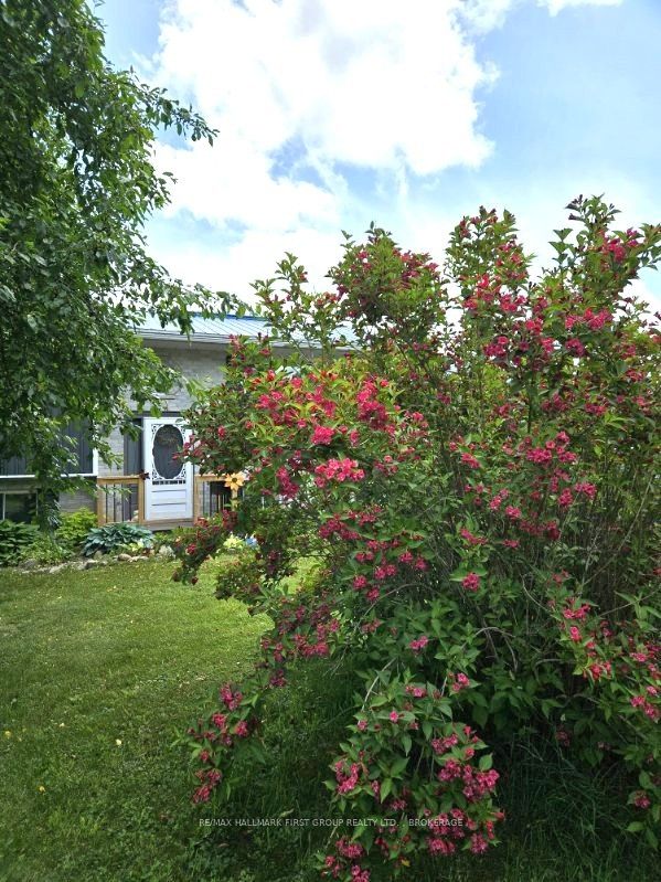 2220 County 11 Road, Greater Napanee, ON K0K 2Z0 photo 3