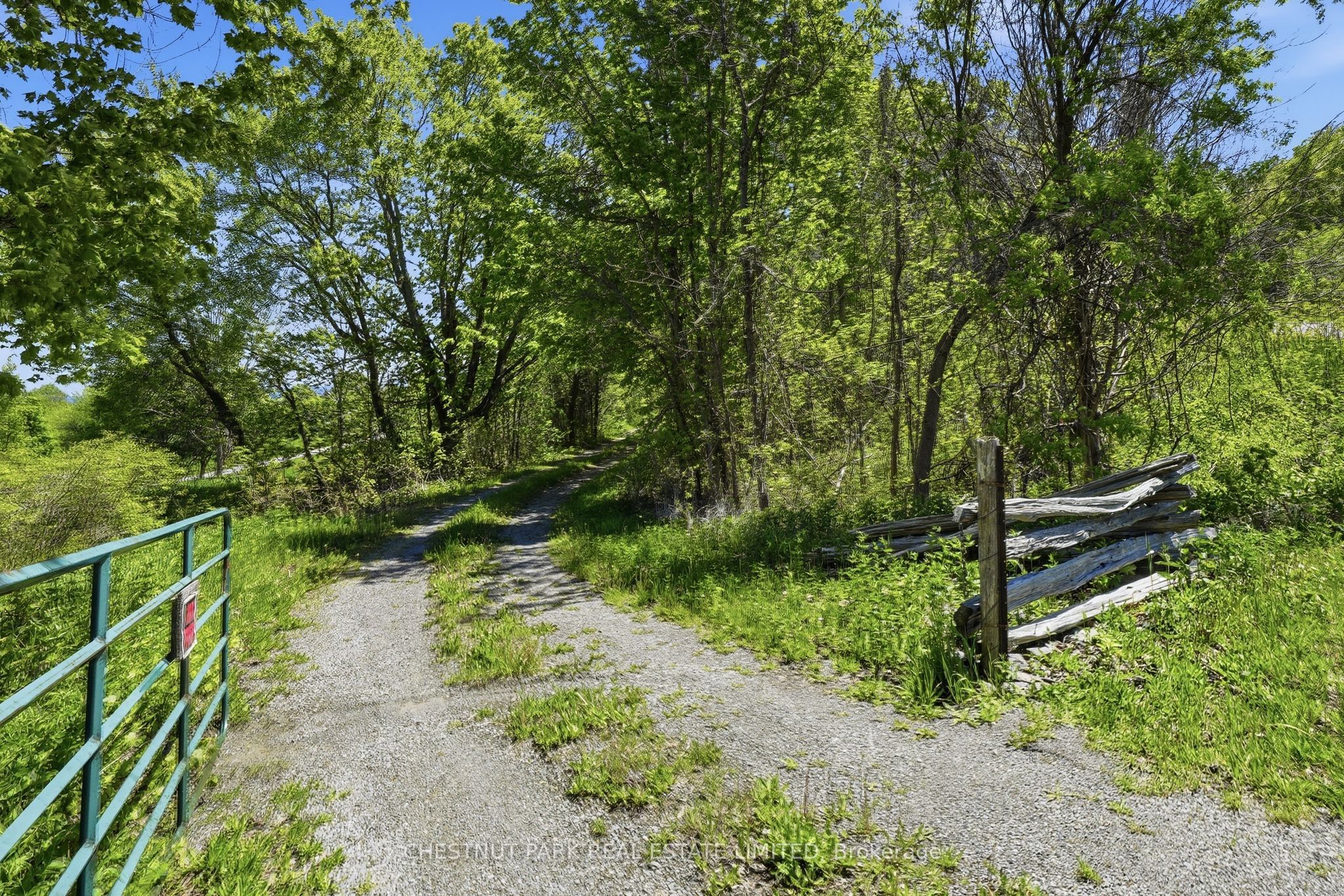4176 County Road 8 N/A, Prince Edward County, ON K0K 2T0 photo 3