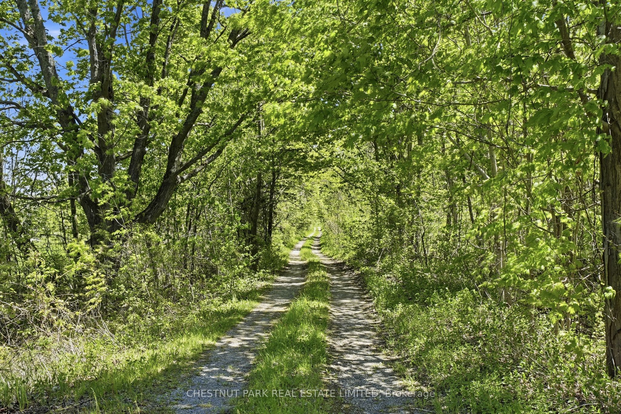 4176 County Road 8 N/A, Prince Edward County, ON K0K 2T0 photo 4