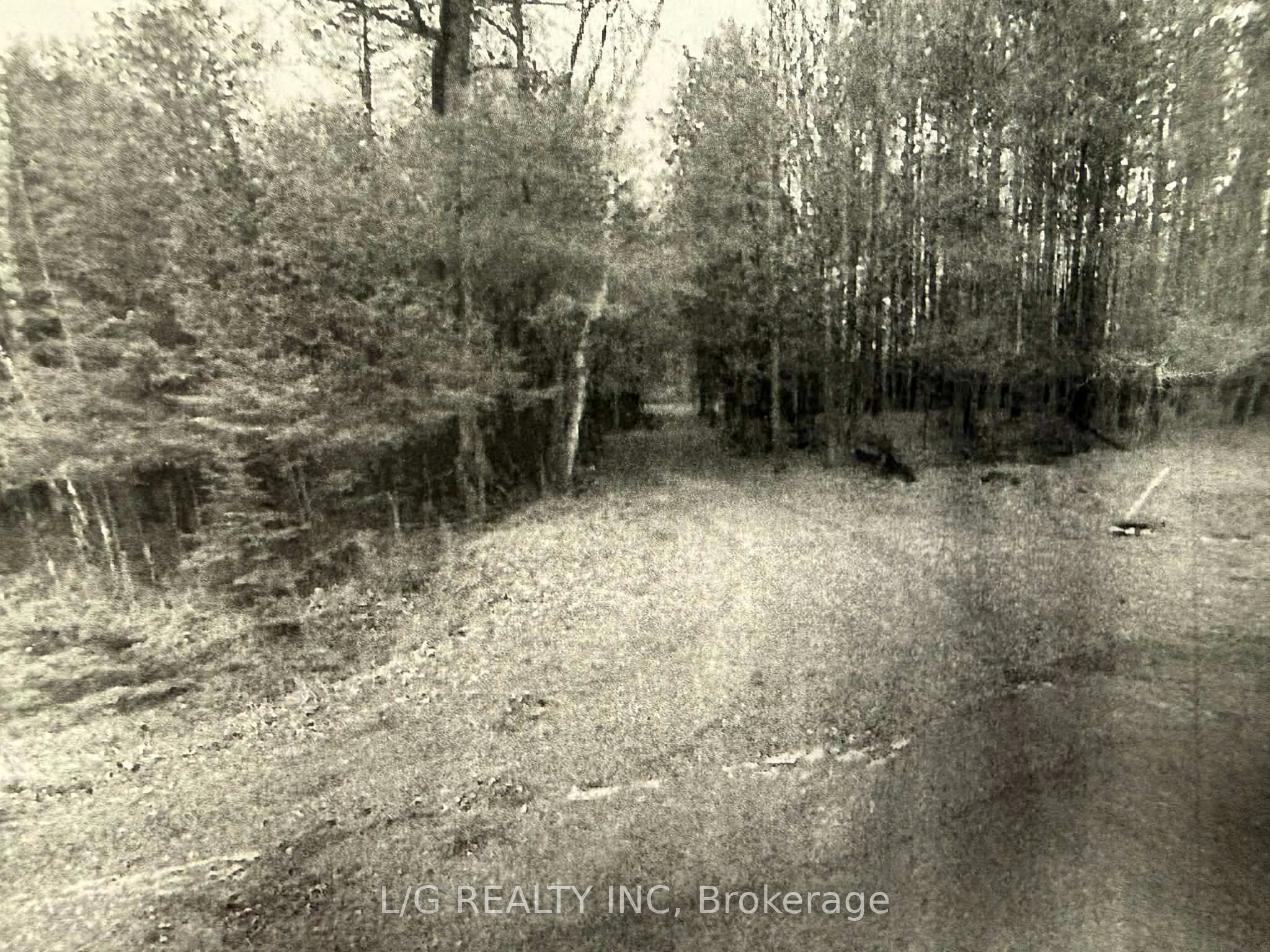 3087 Watsons Corners Road, Lanark Highlands, ON K0G 1K0 photo 2