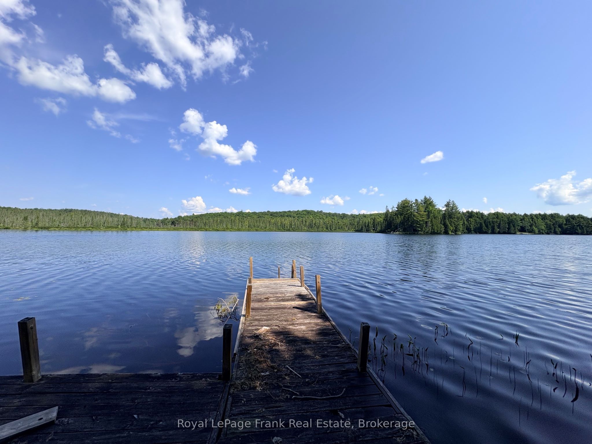 1480 Topps Drive, Highlands East, ON K0L 1M1 photo 4