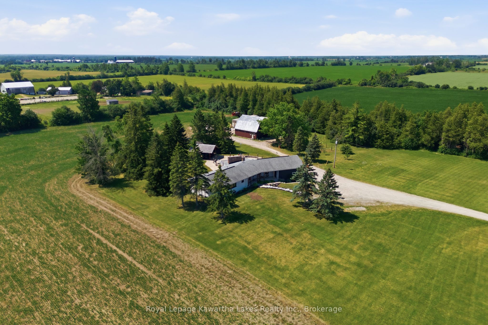 98 Brookview Road, Kawartha Lakes, ON K9V 4R5 photo 3