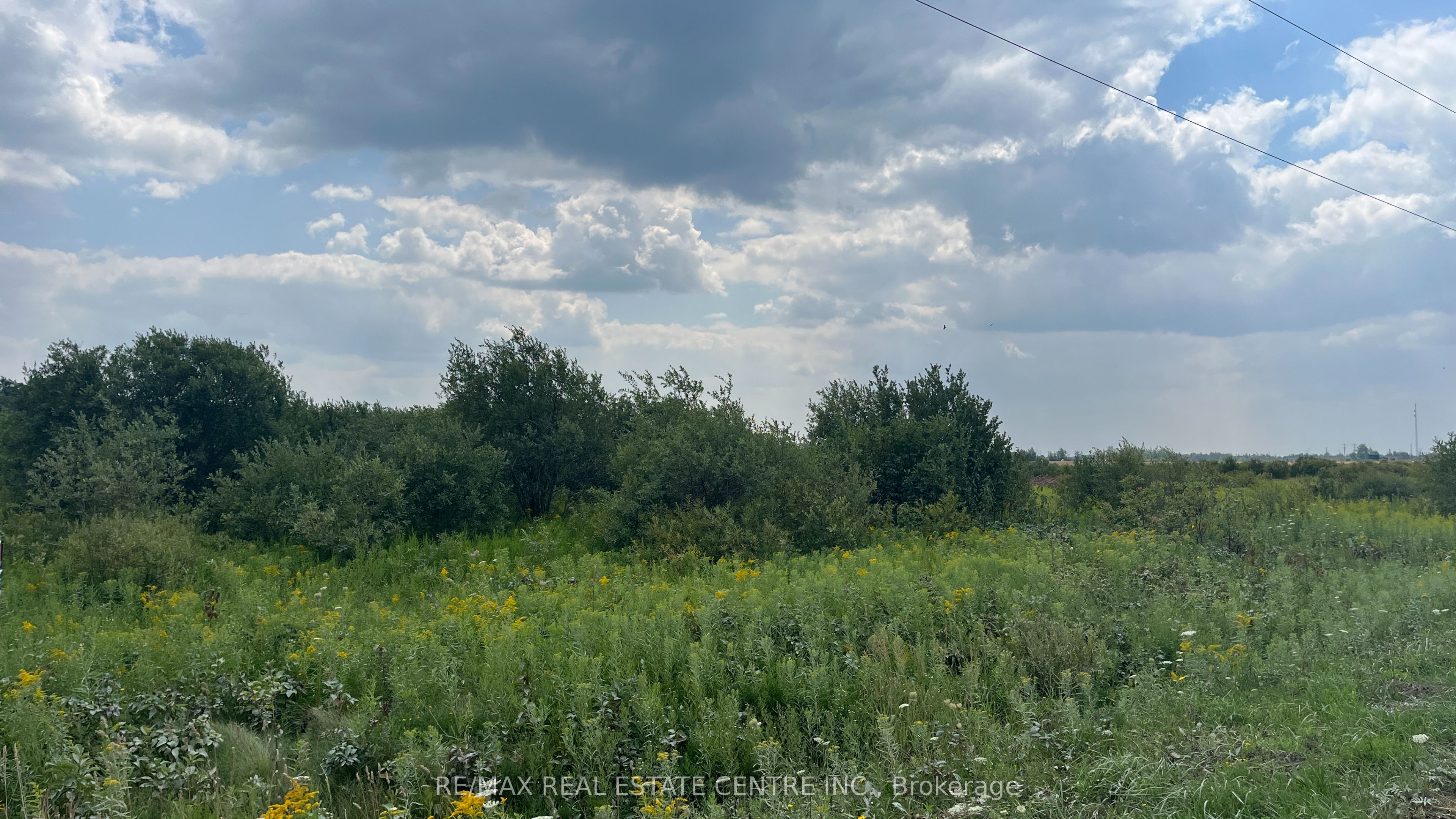 LT11-17 260 Side Road, Melancthon, ON L9V 2M7 photo 3