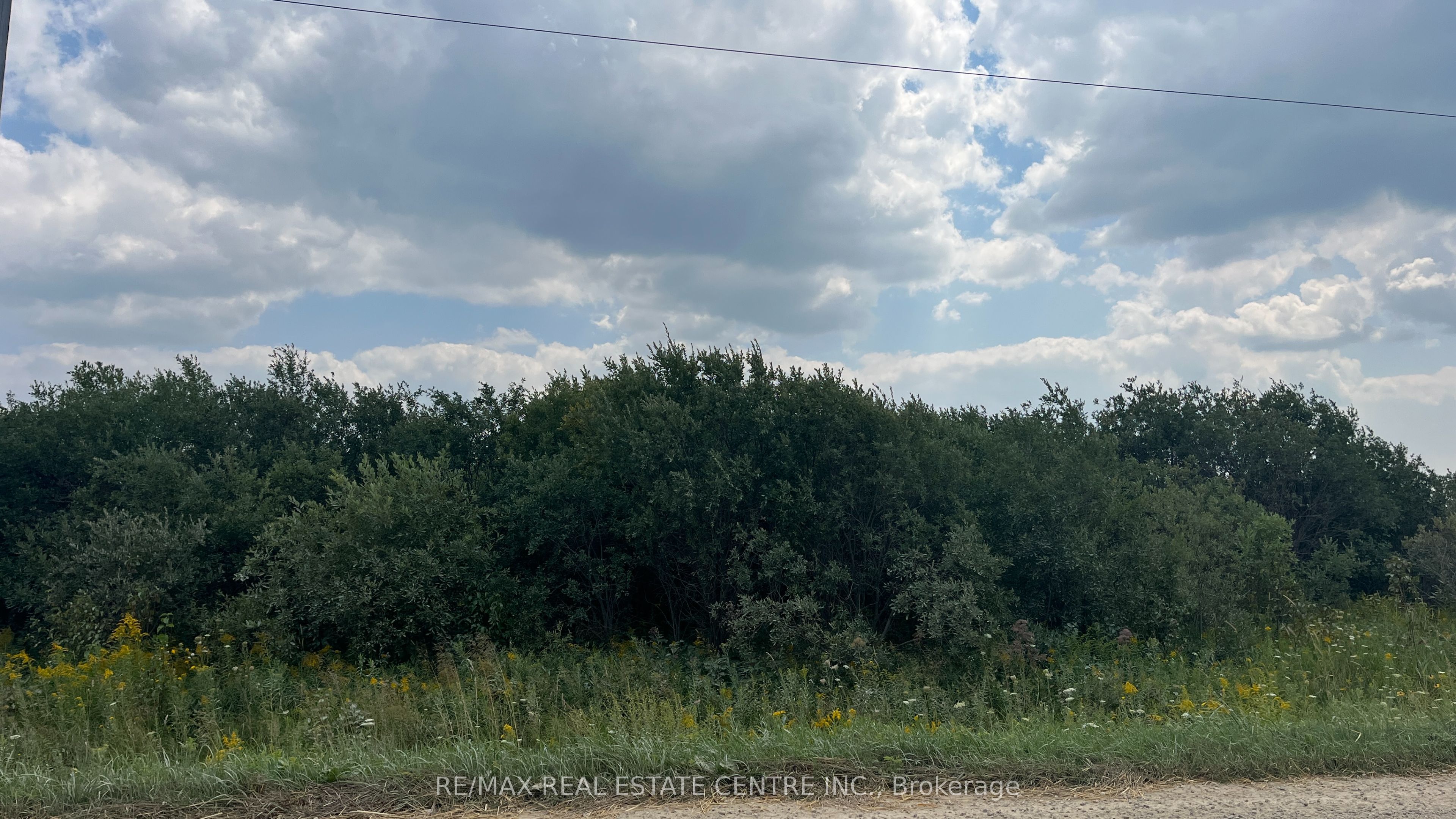 LT11-17 260 Side Road, Melancthon, ON L9V 2M7 photo 5