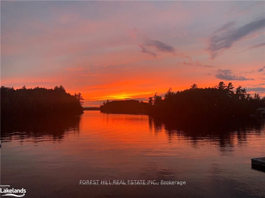 1004 Old Township Road, Muskoka Lakes, ON P0B 1J0 photo 4