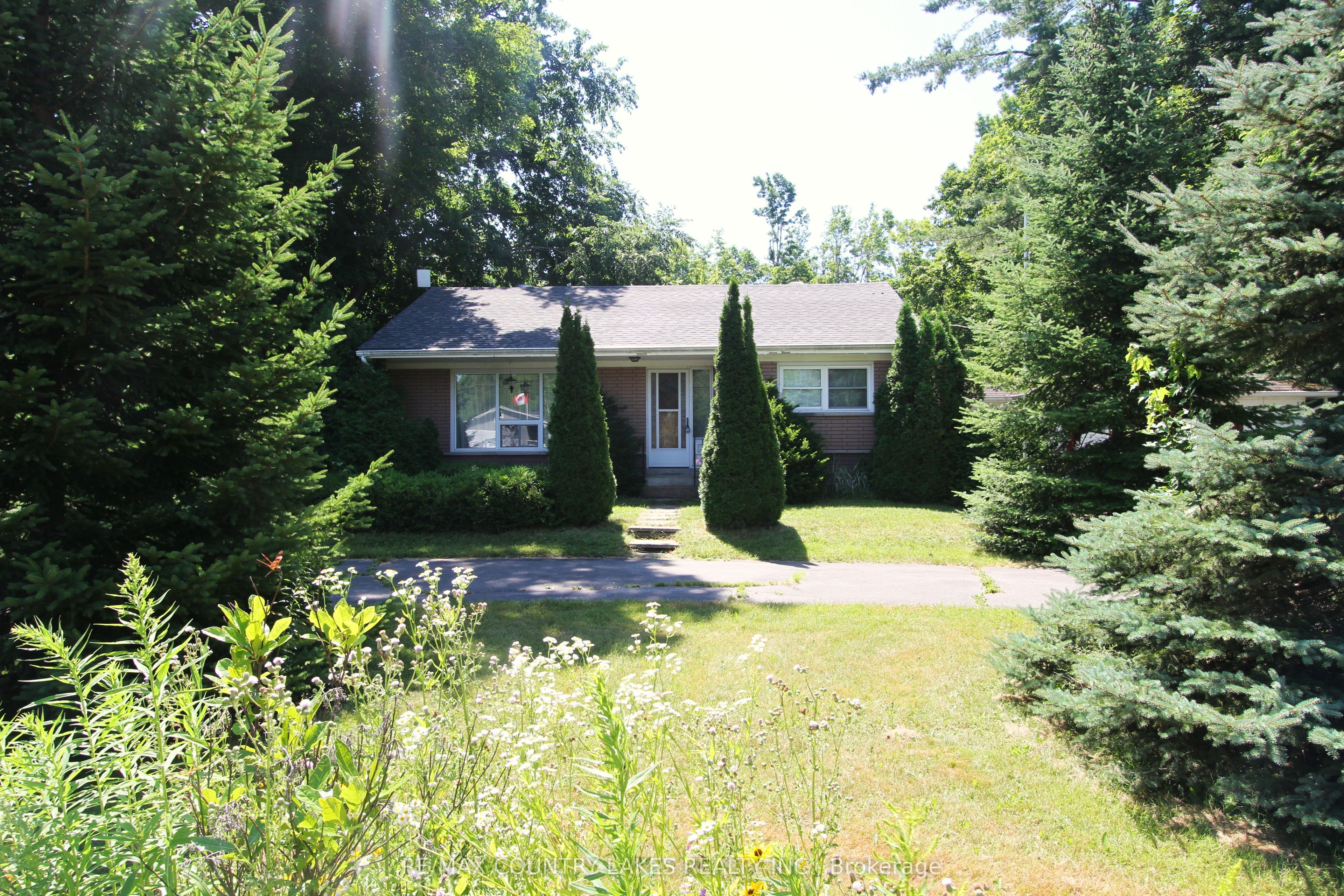 986 Portage Road, Kawartha Lakes, ON K0M 2B0 photo 5