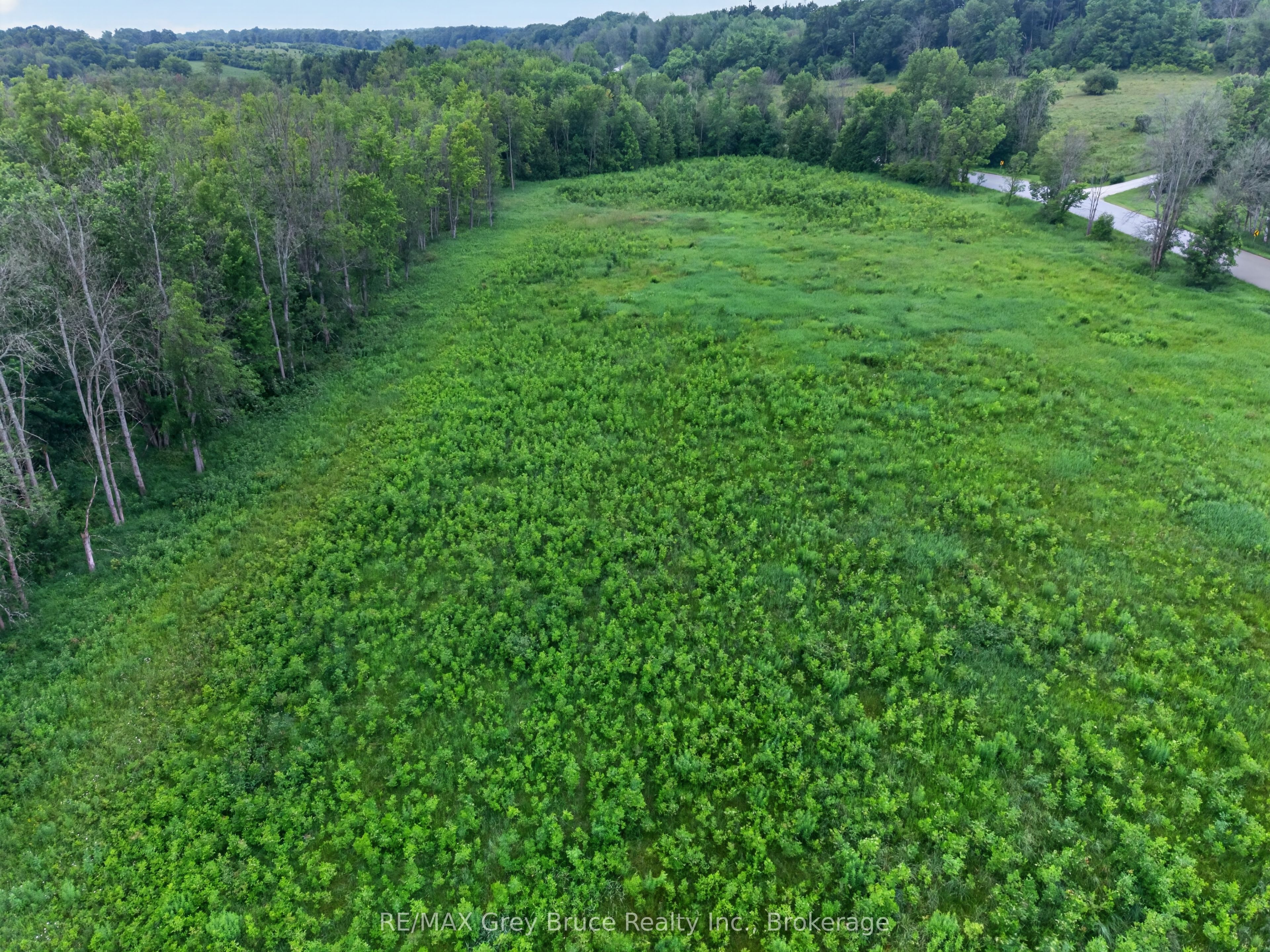 403211 CONCESSION RD 20, GEORGIAN BLUFFS Concession, Georgian Bluffs, ON N0H 1S0 photo 3