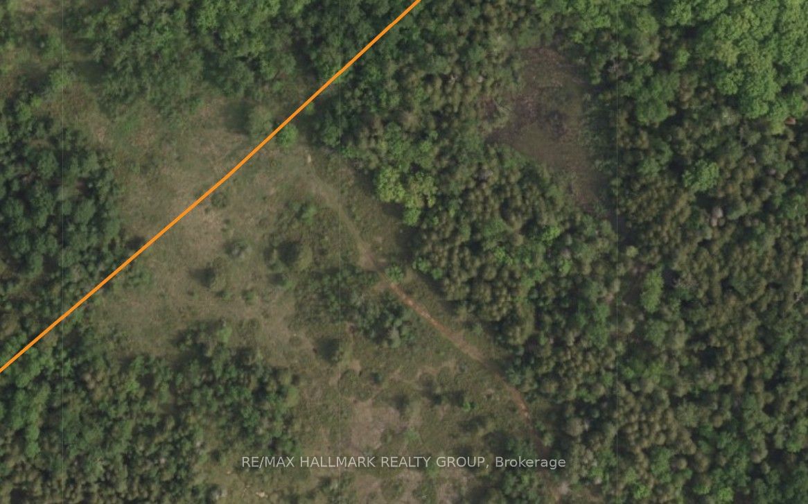 1999 Forest Edge Road, Carp - Huntley Ward, ON K0A 1L0 photo 5
