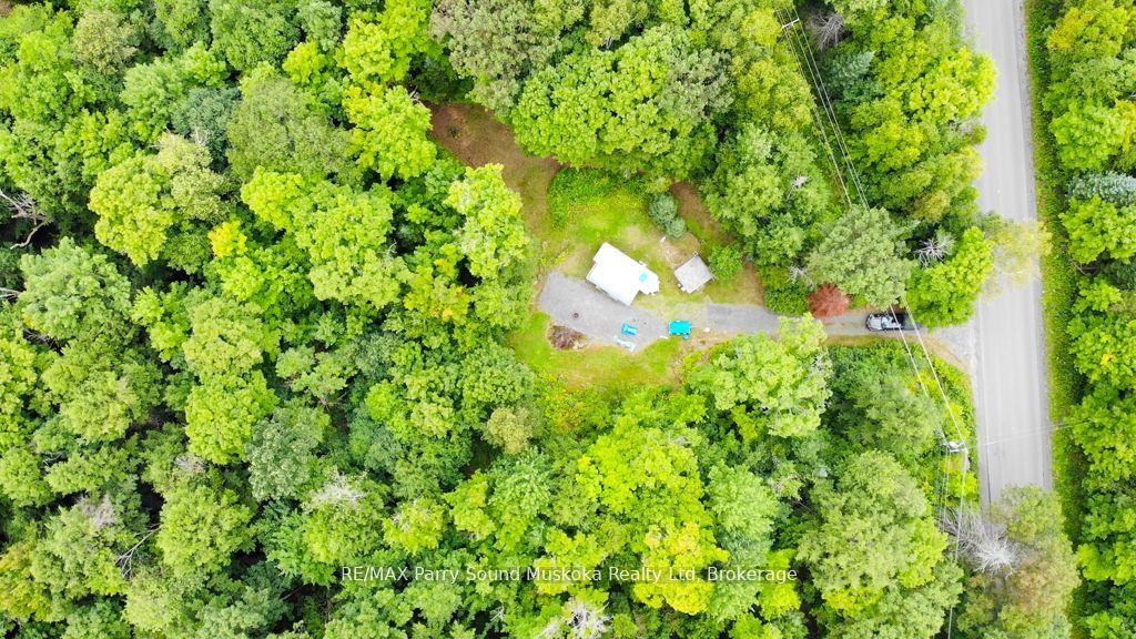 335 Centre Road, McKellar, ON P2A 0B4 photo 5