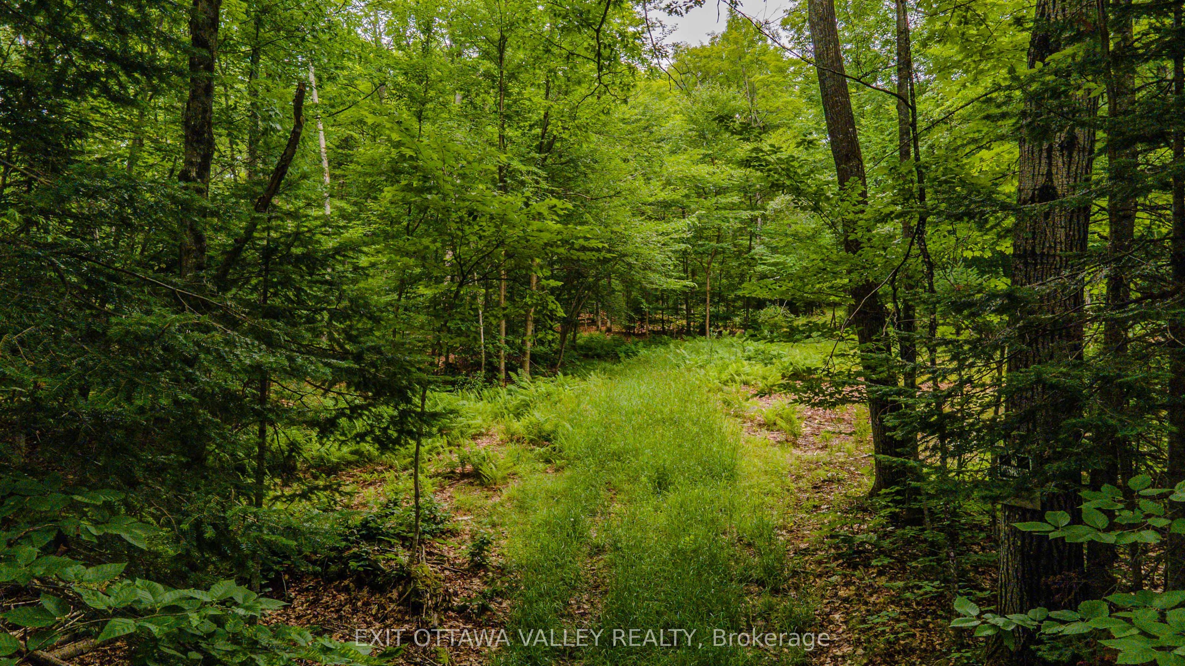 0 Peplinskie Road, Madawaska Valley, ON K0J 1L0