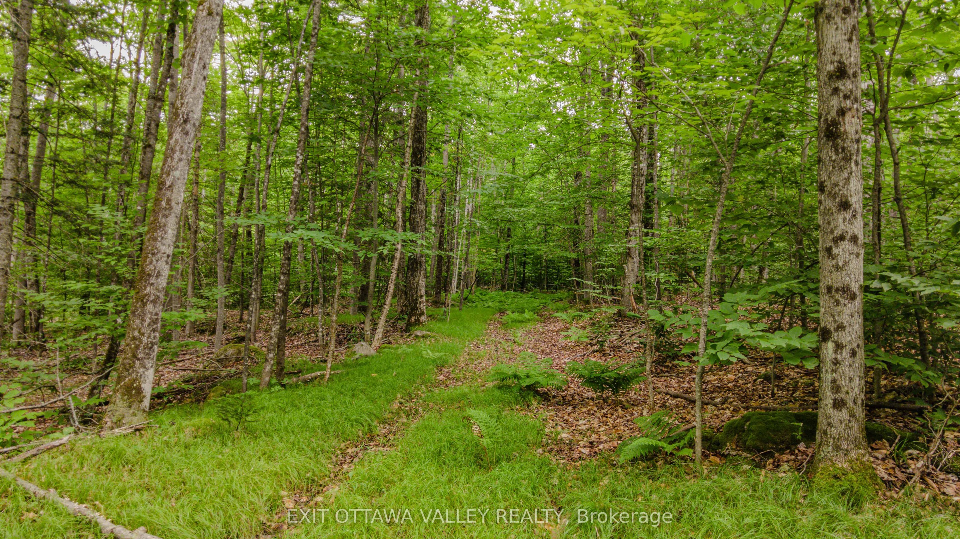 0 Peplinskie Road, Madawaska Valley, ON K0J 1L0 photo 3