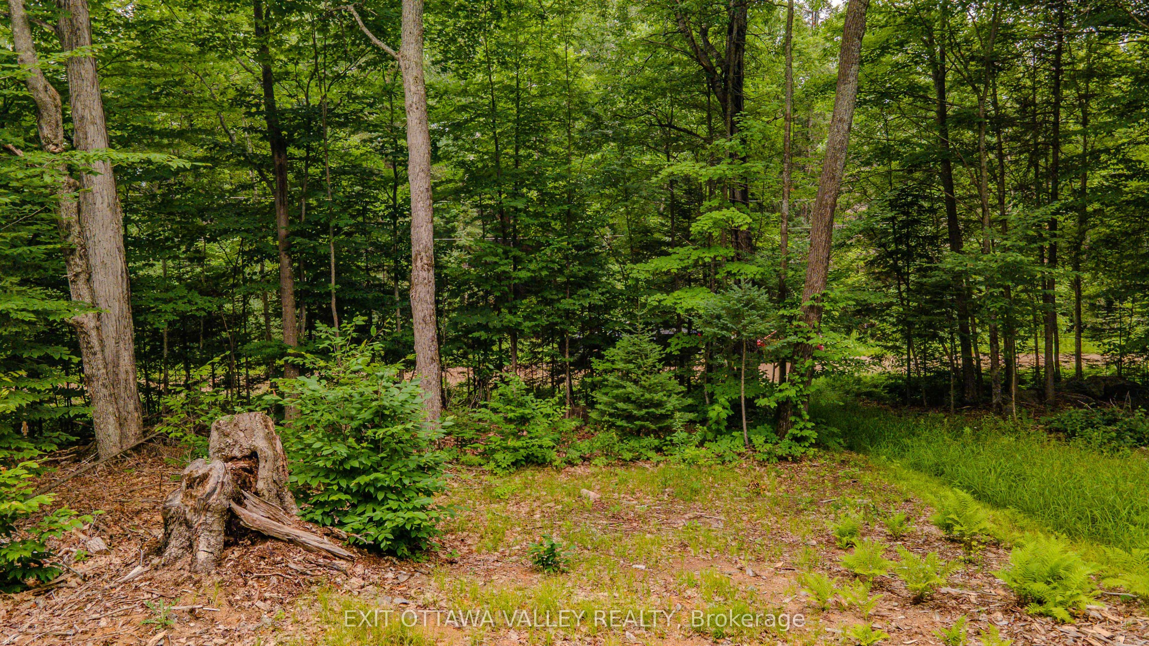 0 Peplinskie Road, Madawaska Valley, ON K0J 1L0 photo 4