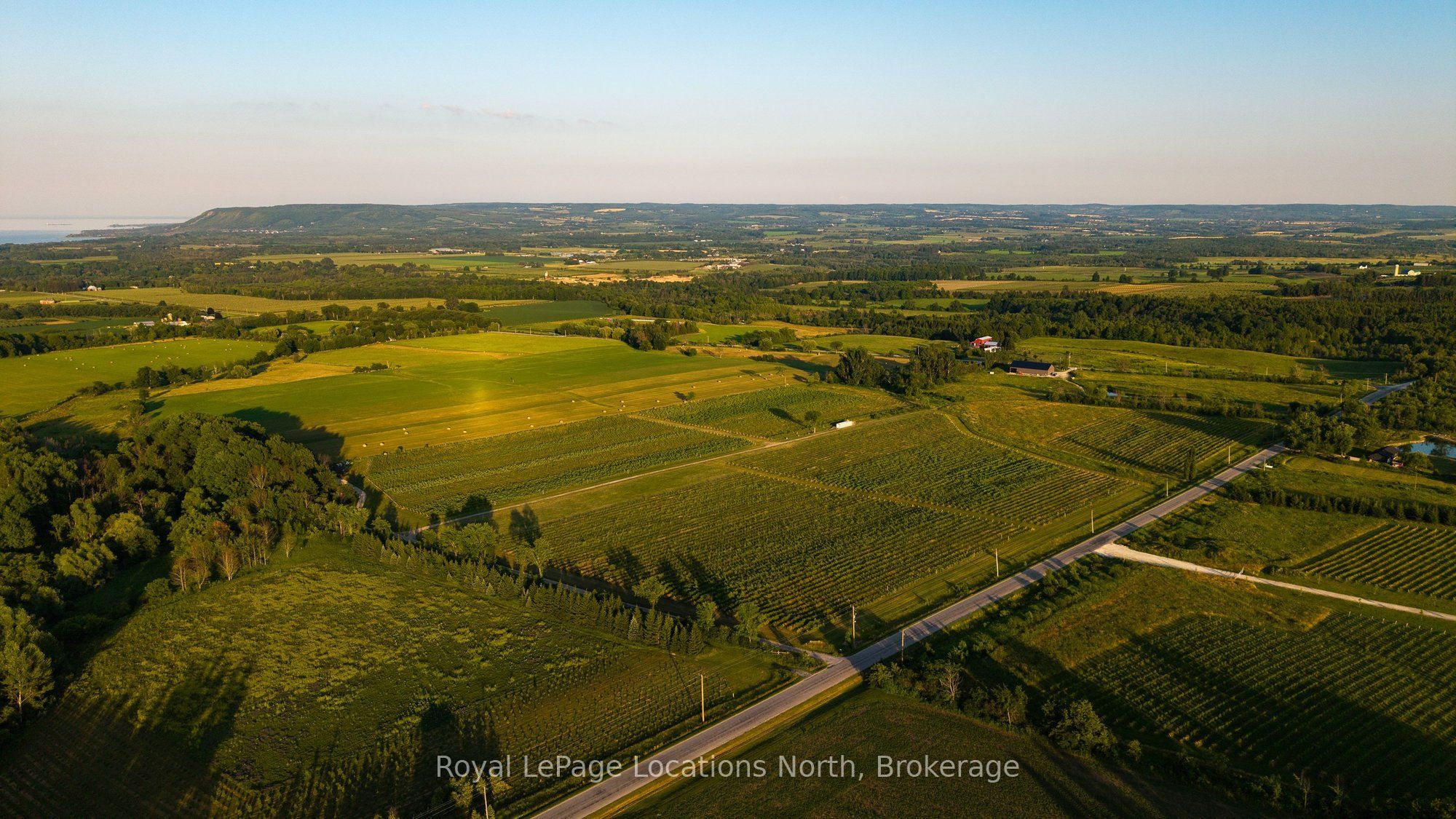357065 The Blue Mountains Meaford Townline Road, Blue Mountains, ON N0H 2P0 photo 4