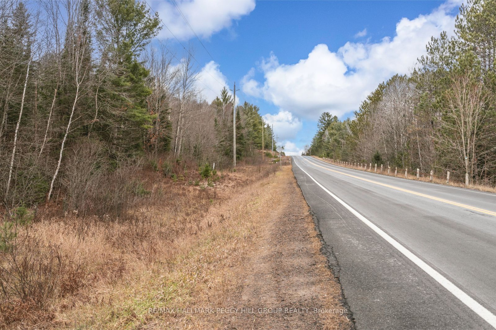 0 County Road 121 N/A, Minden Hills, ON K0M 2A1 photo 3